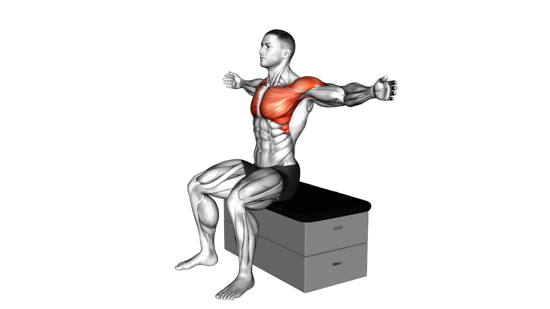 Sitting Fly on a padded stool exercise demonstration