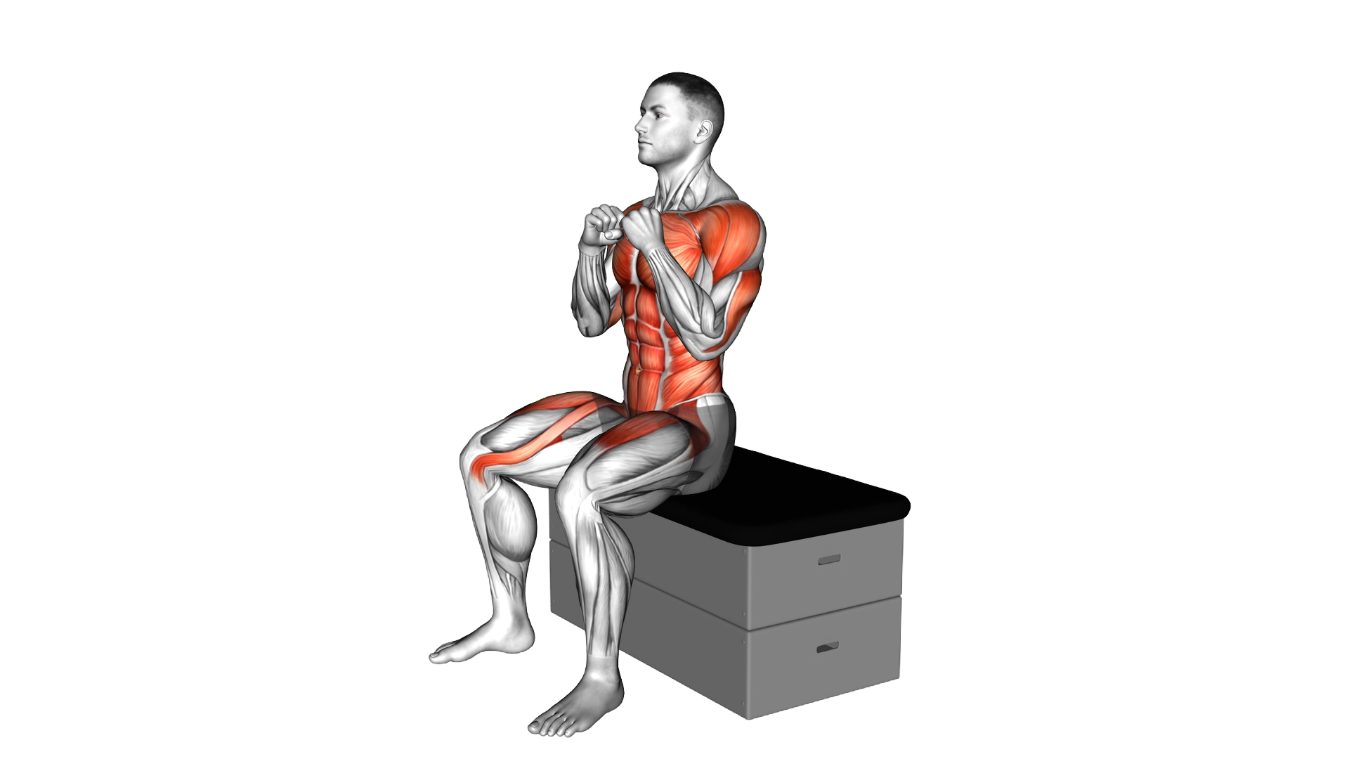 Sitting Punch Knee Tap on a padded stool exercise demonstration