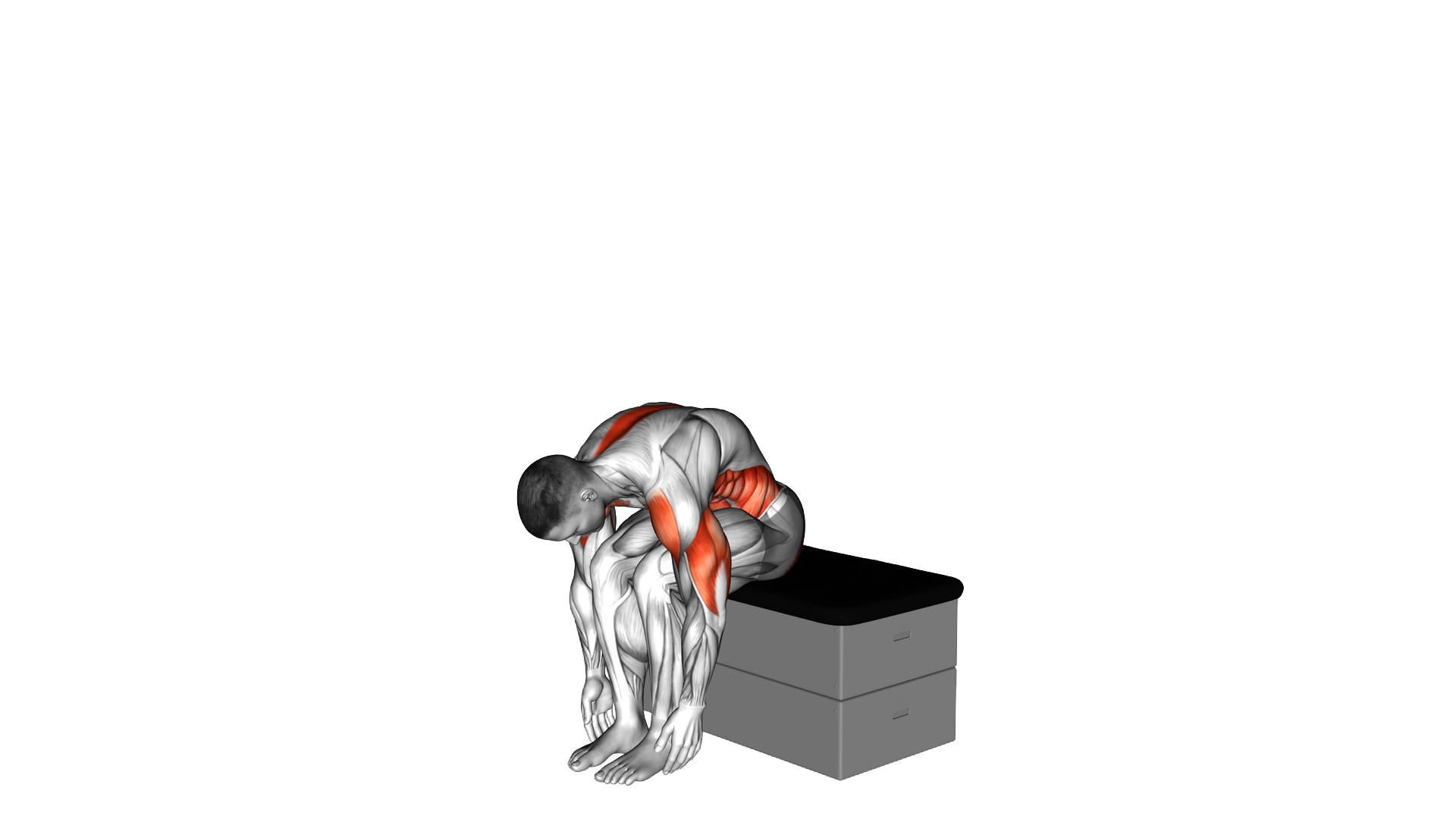Sitting Shoulder Press Toe Touch on a padded stool exercise demonstration