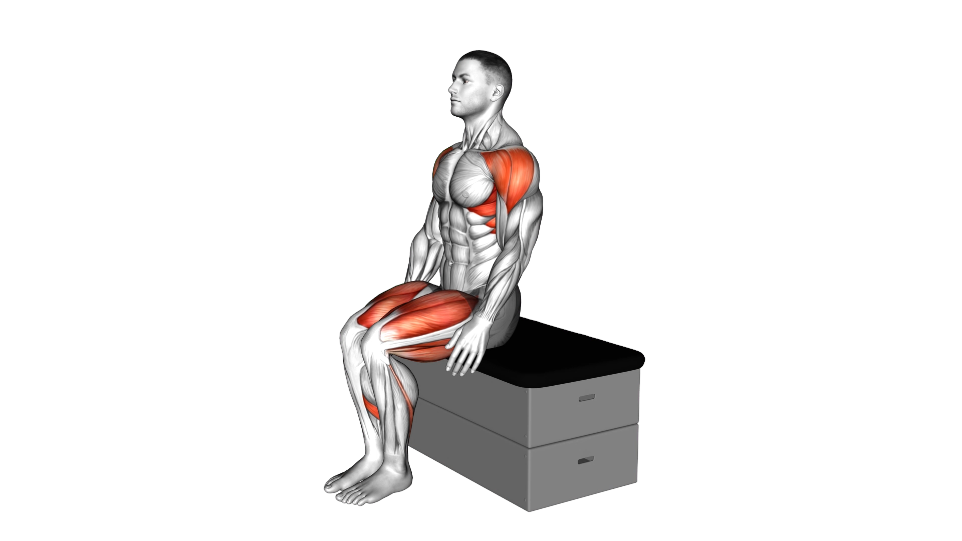 Sitting Lateral Raise StepOut on a padded stool exercise thumbnail