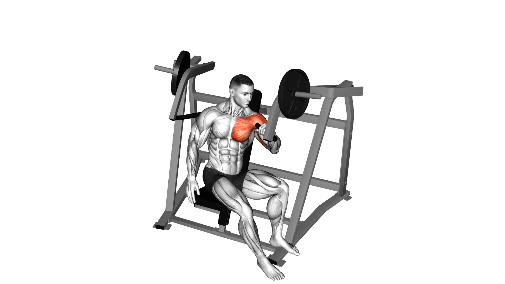 Lever One Arm Incline Chest Press (plate loaded) exercise demonstration