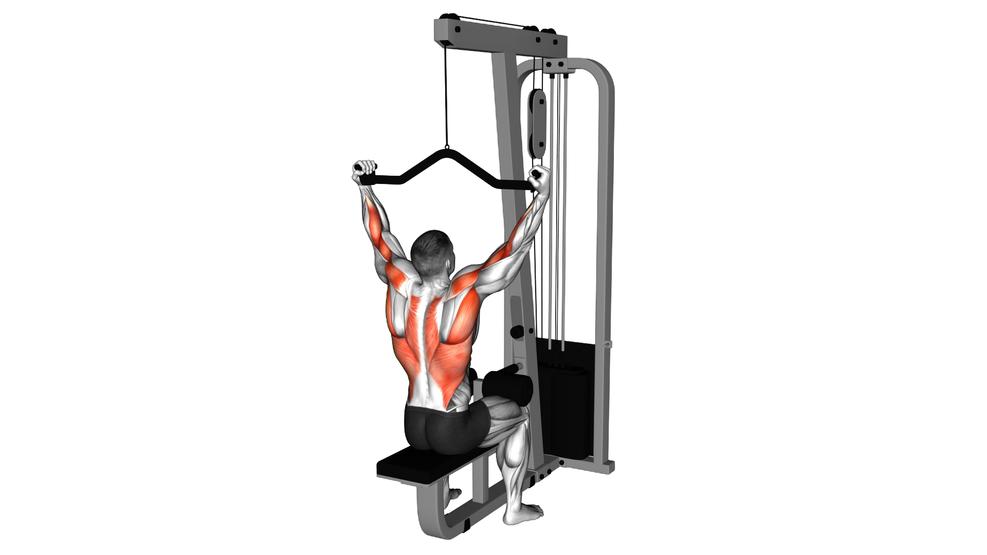 Cable Neutral Grip Wide Pulldown exercise demonstration