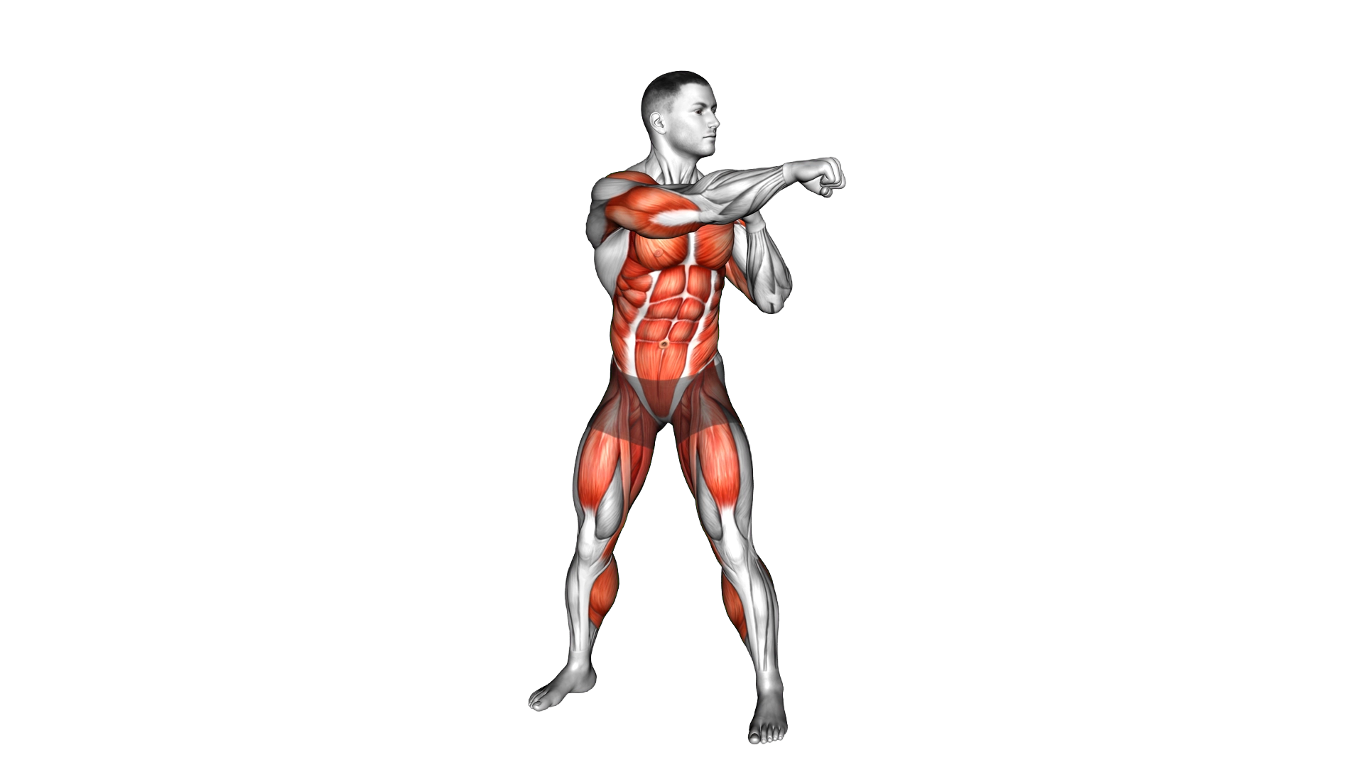 Cross Body Punch Jack exercise demonstration