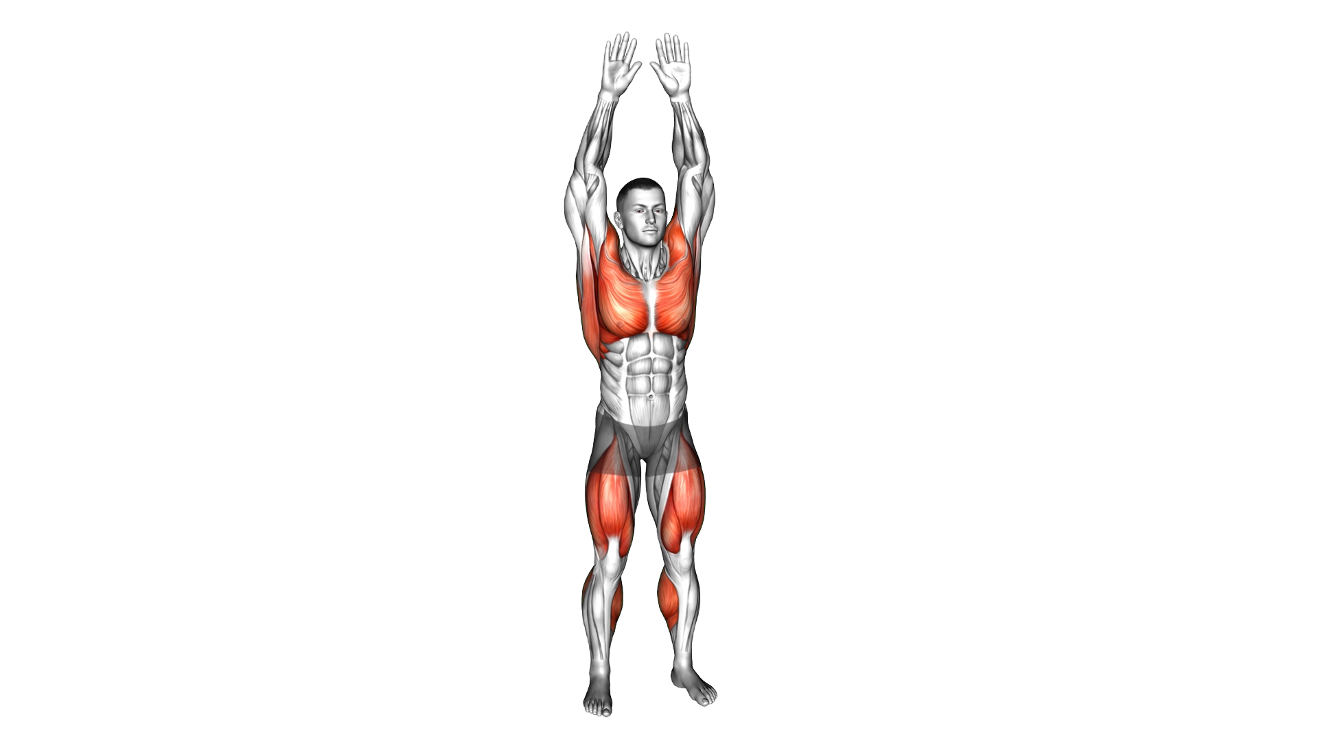 Leg Front Lift Jack exercise demonstration