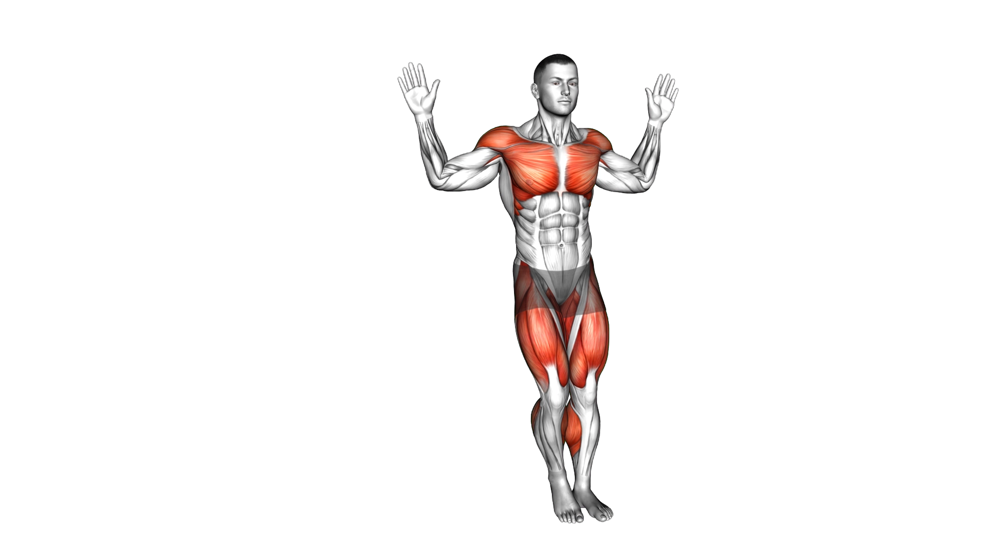 Chest Fly Side Step exercise thumbnail