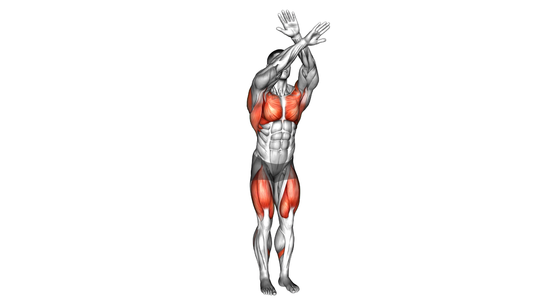 Stepback with Coner Touch exercise demonstration