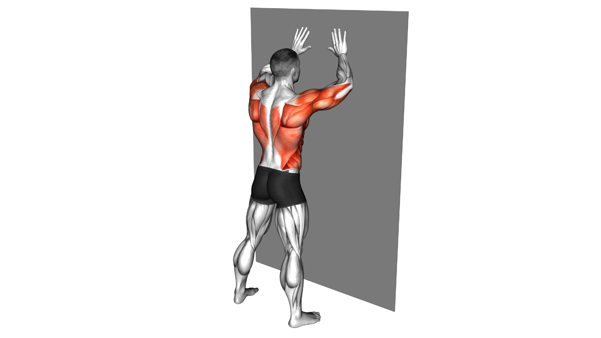 Wall Press and Twist exercise demonstration