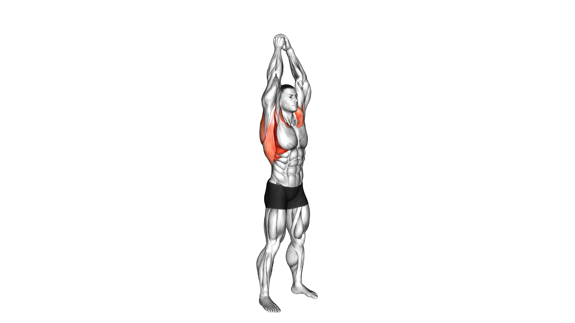 Shoulder Backbend Stretch exercise demonstration