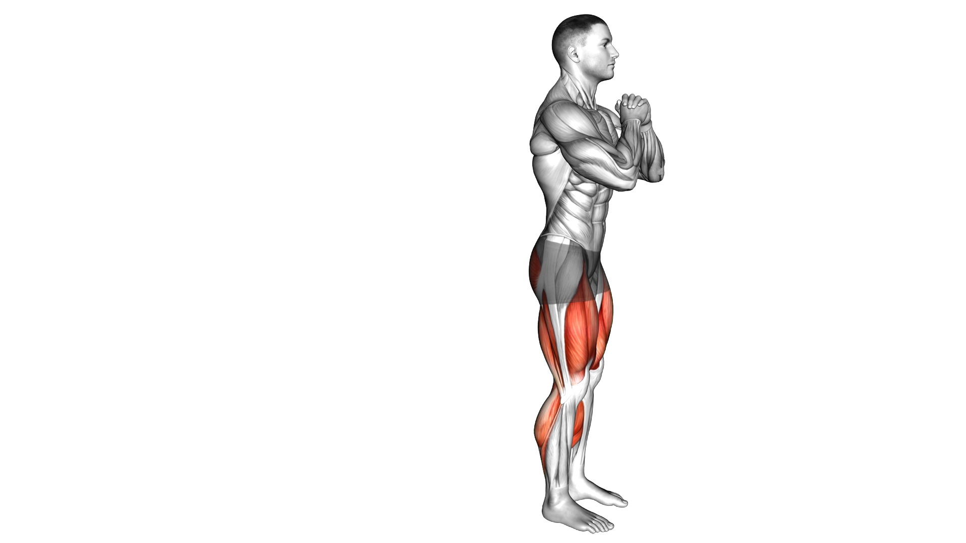 Lunge Stretch exercise demonstration