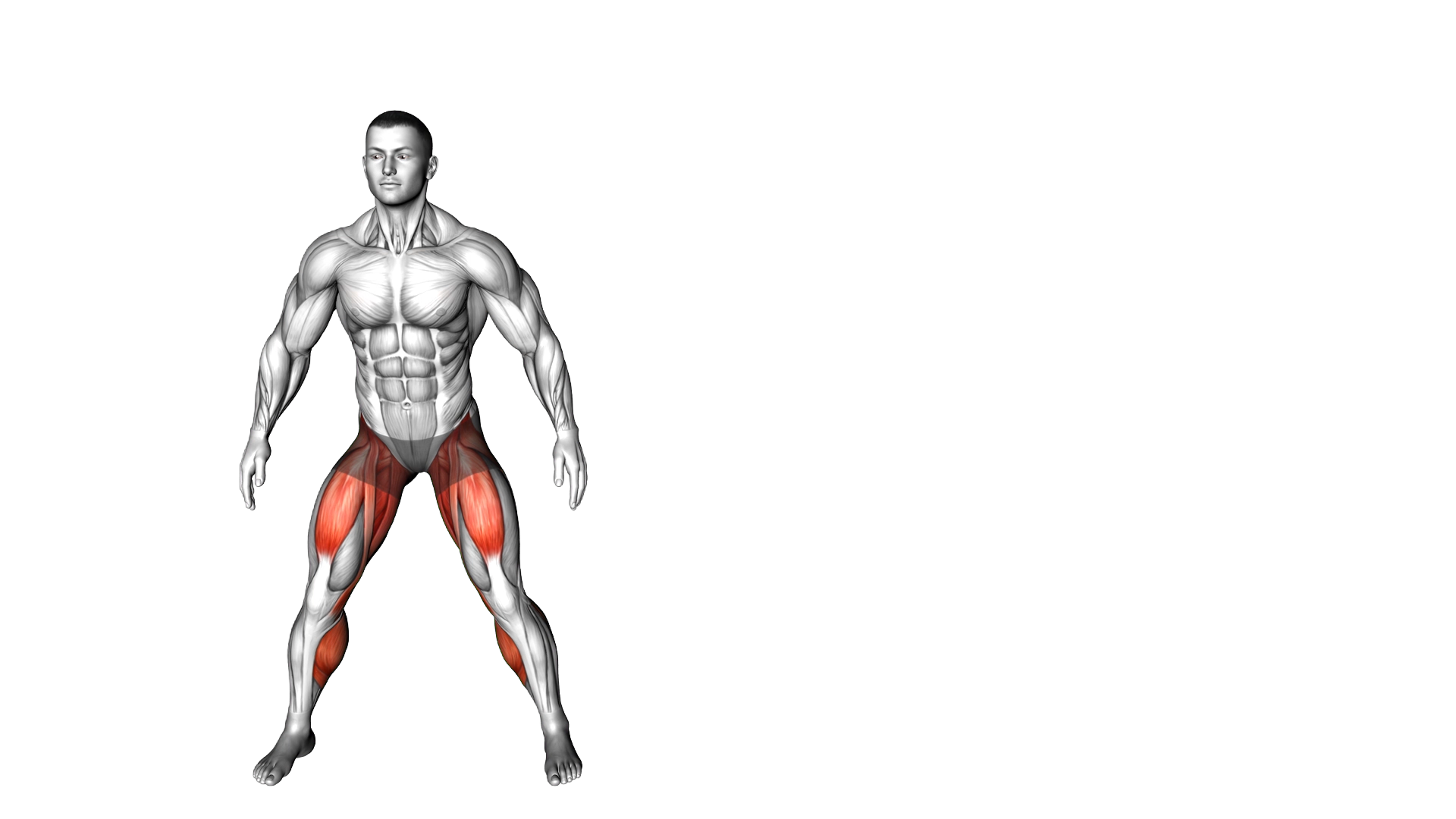 Shuffle Leg Lift exercise demonstration