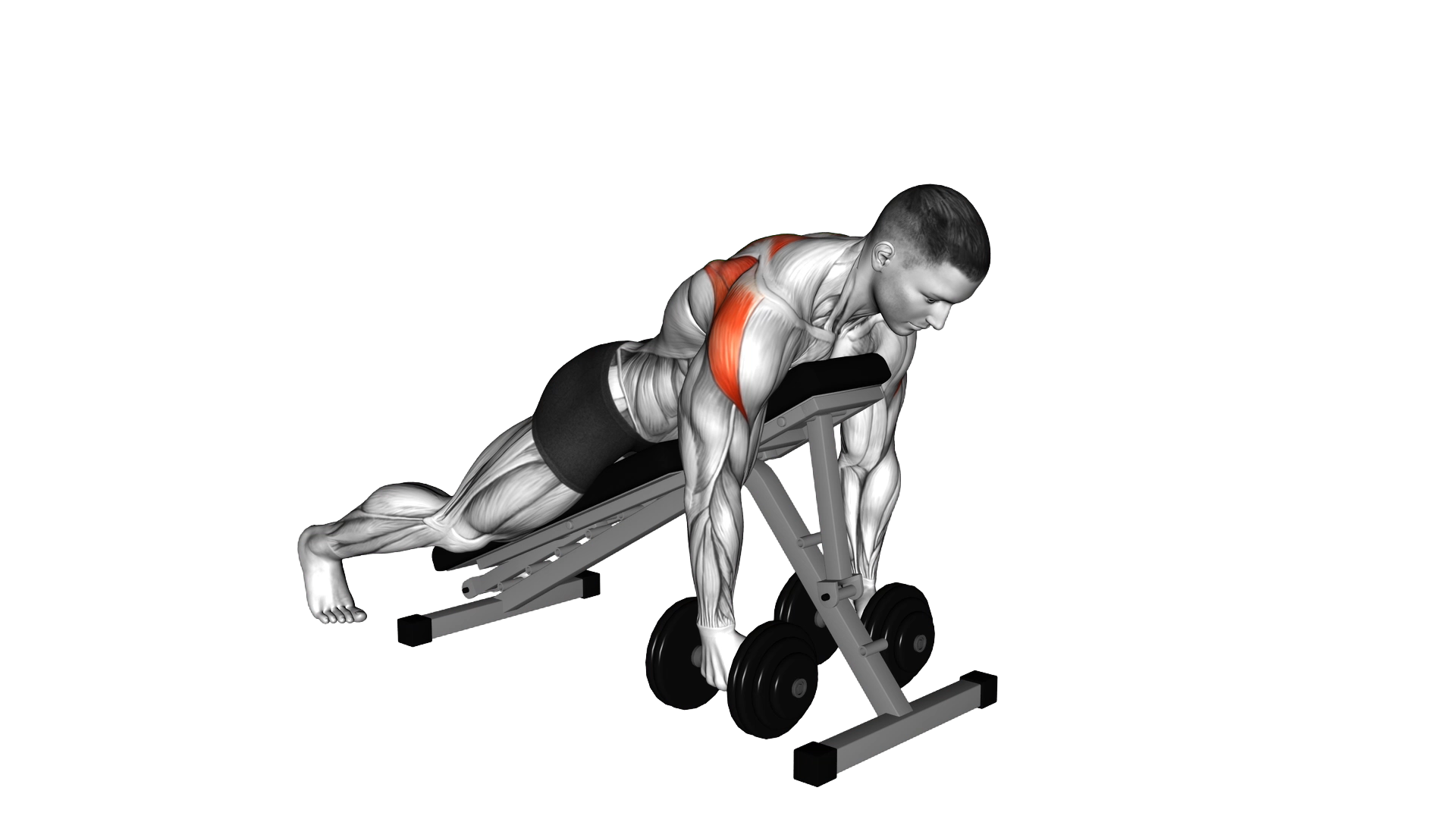 Dumbbell Prone Rear Delt Swing exercise demonstration