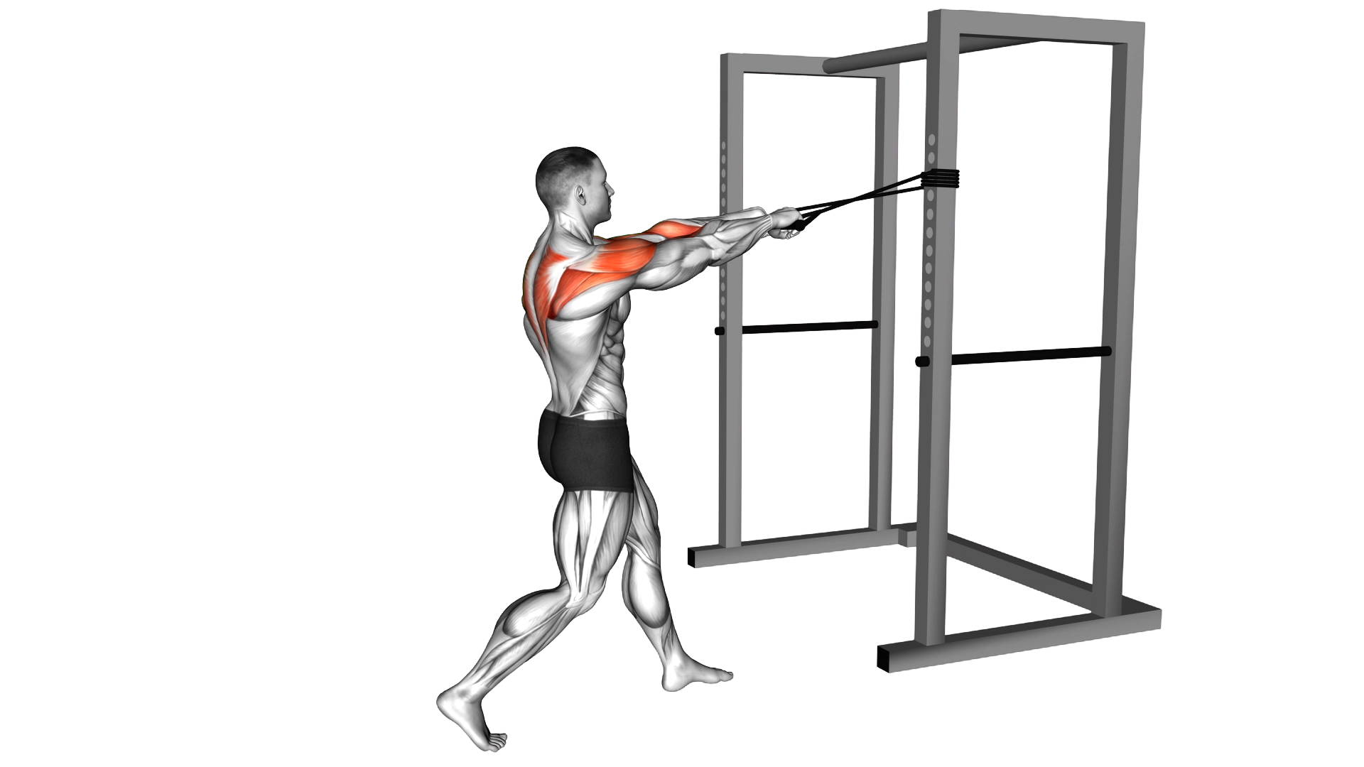 Band Face Pull exercise demonstration