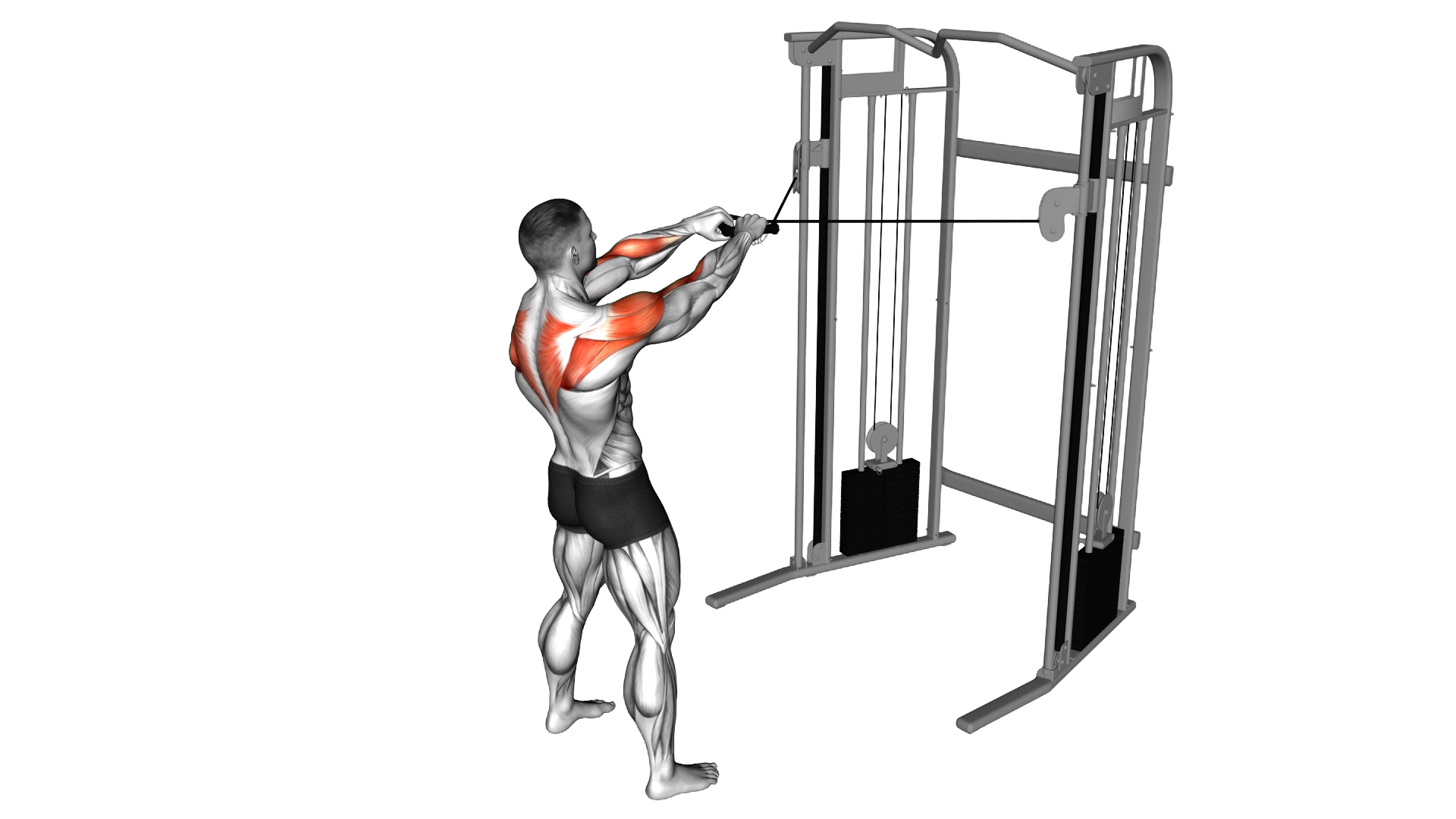 Cable Standing Face Pull exercise demonstration