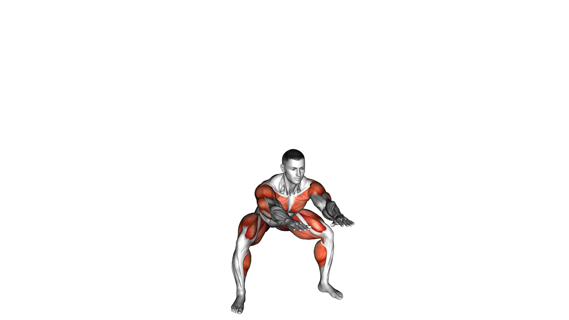 Reach Front Reach Top Sumo Squat exercise demonstration