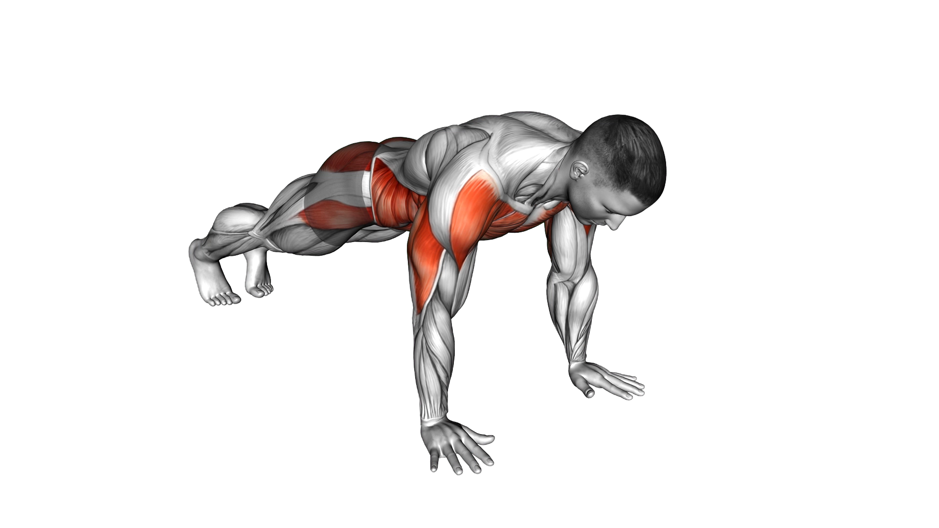 Plank Side Walk exercise demonstration