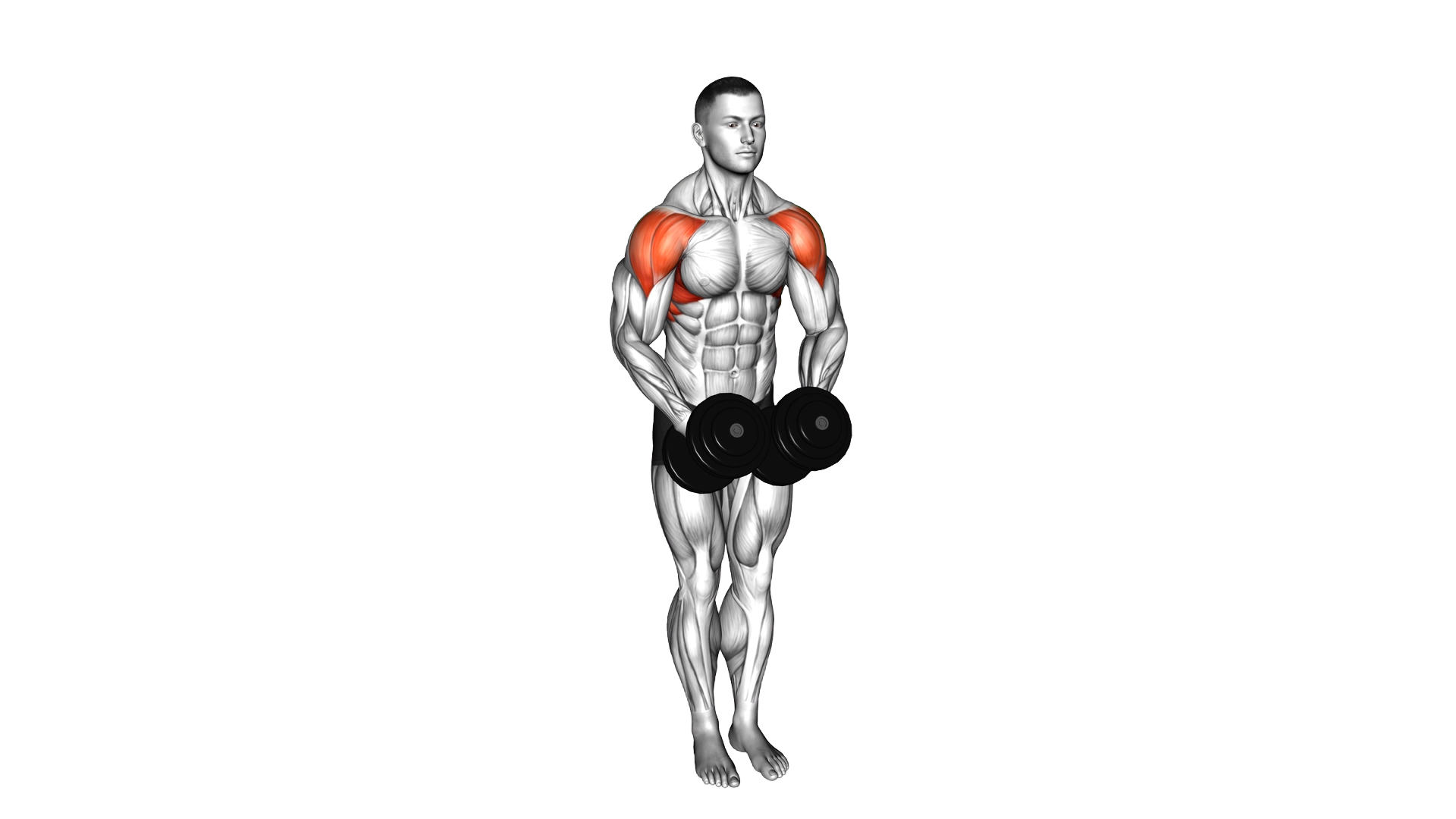 Dumbbell Standing Bent Arm Lateral raise exercise demonstration