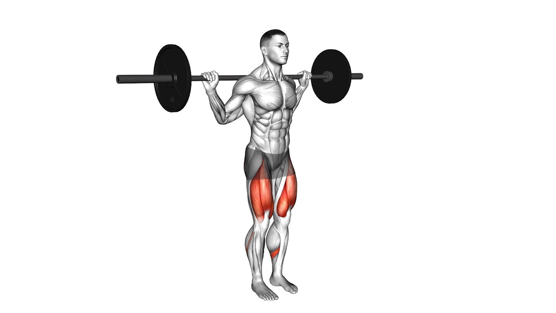 Barbell Narrow Stance Squat exercise demonstration