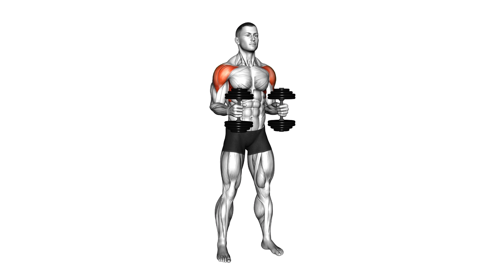 Dumbbell Bent Arm Lateral Raise exercise demonstration