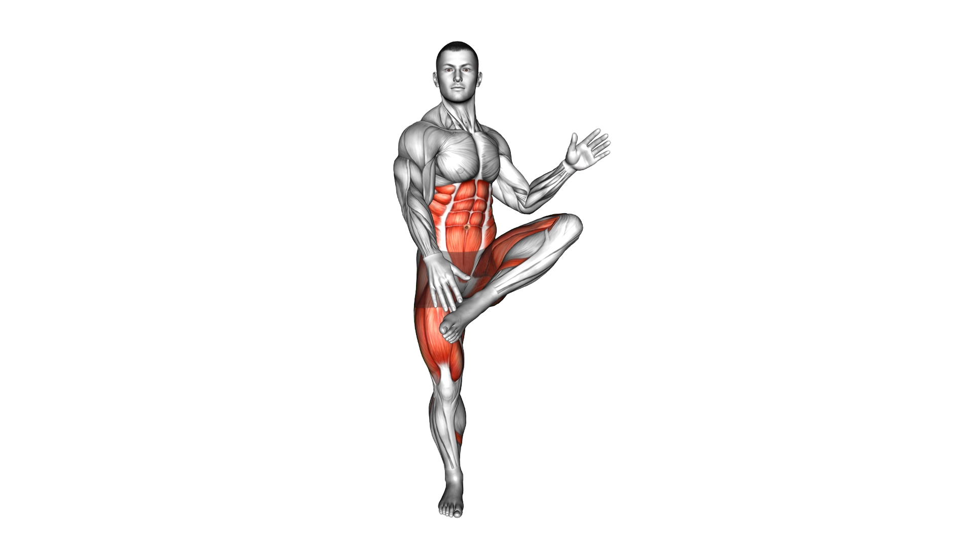 Alternating Ankle Touch exercise demonstration