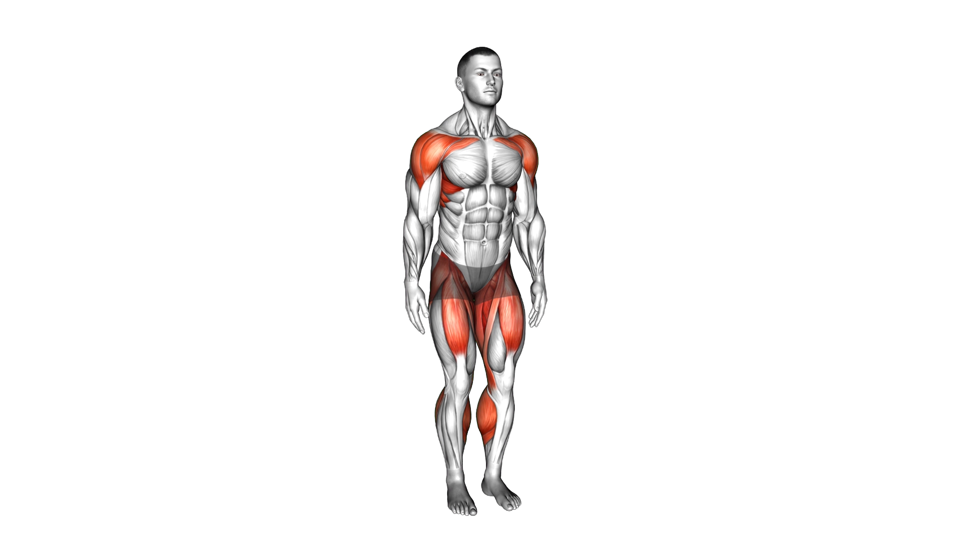 Stepjack Front Raise exercise thumbnail