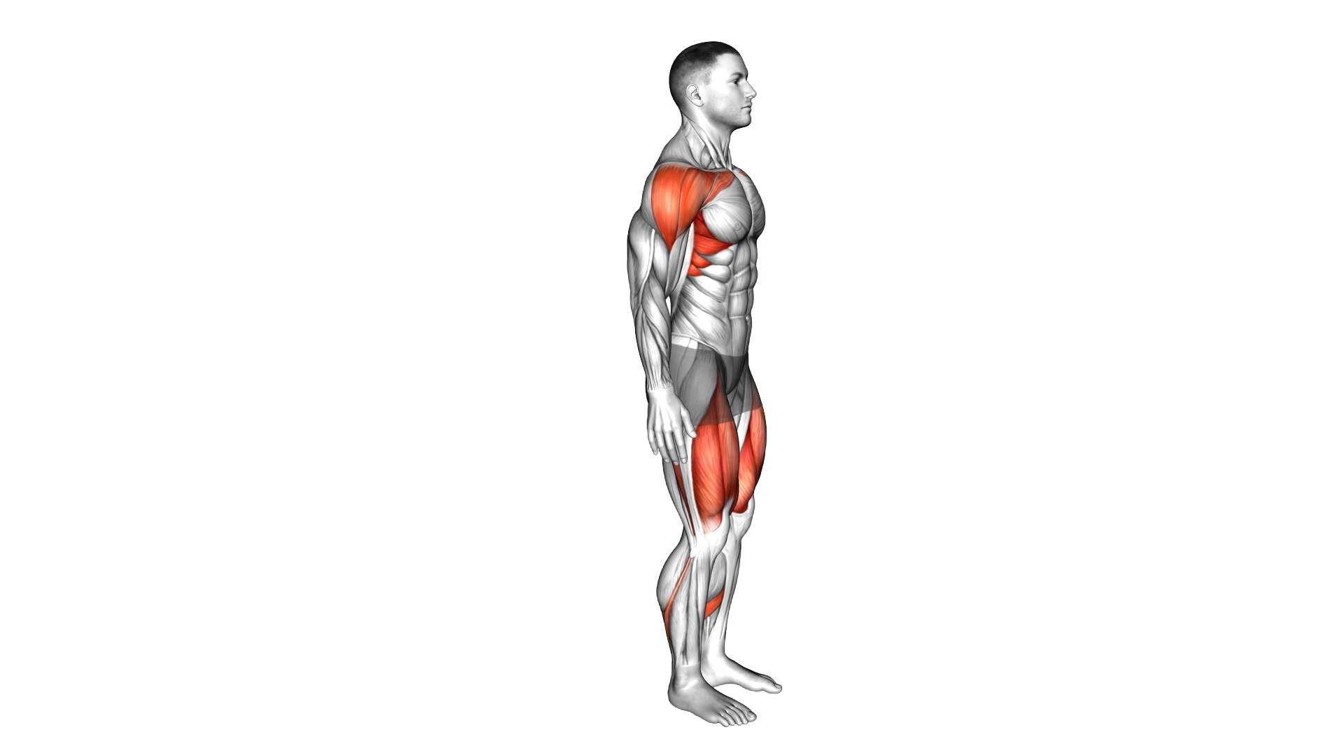 Bodyweight Rear Lunge Front Raise exercise demonstration