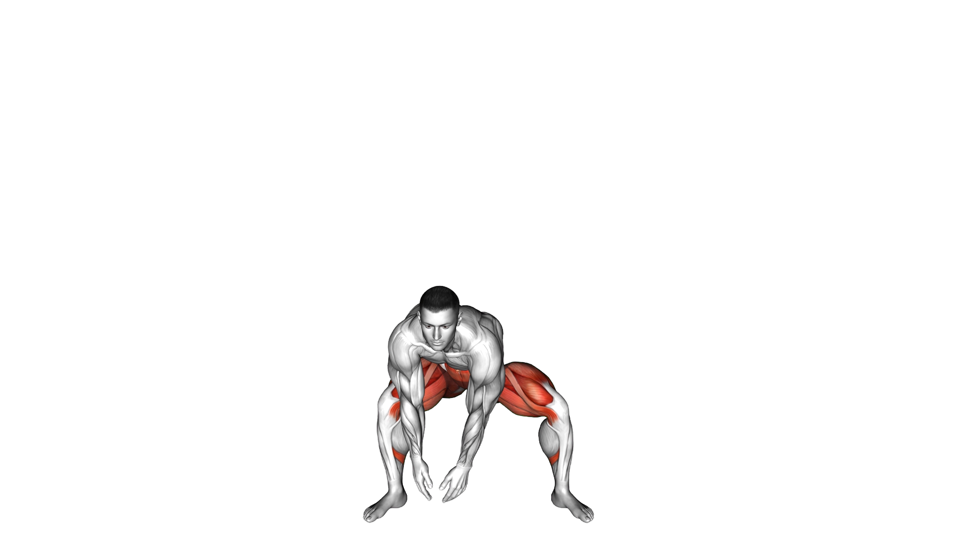 Side Squat Touchdown exercise demonstration