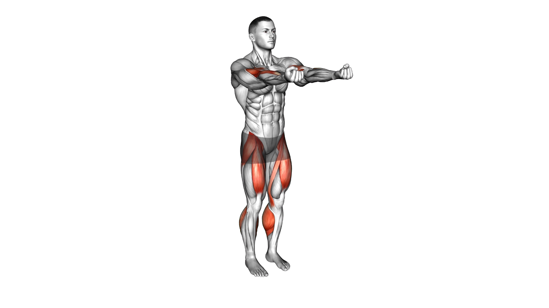 Biceps Curl Front Step exercise thumbnail