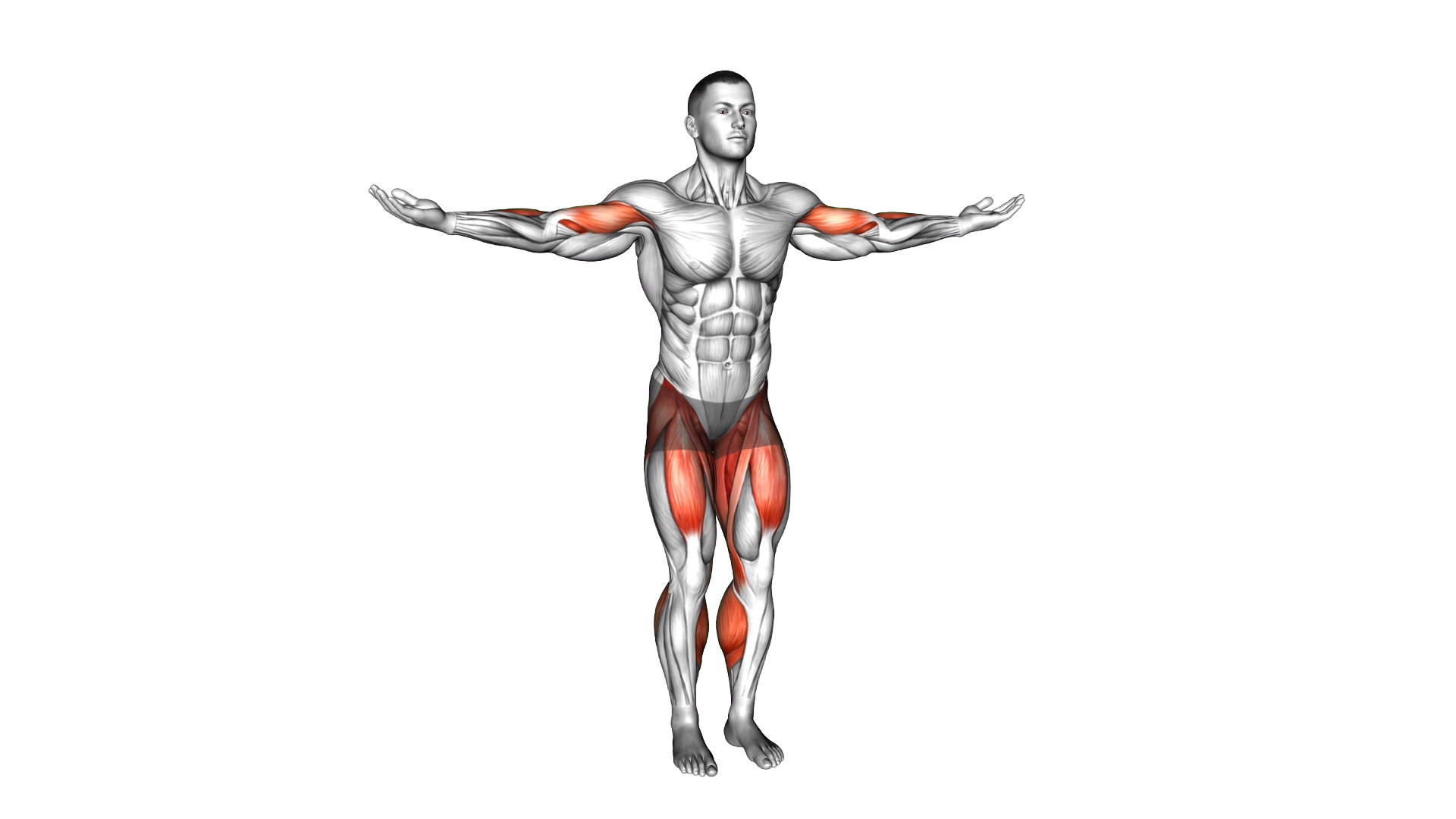 Stepjack Inner Biceps Curl exercise thumbnail