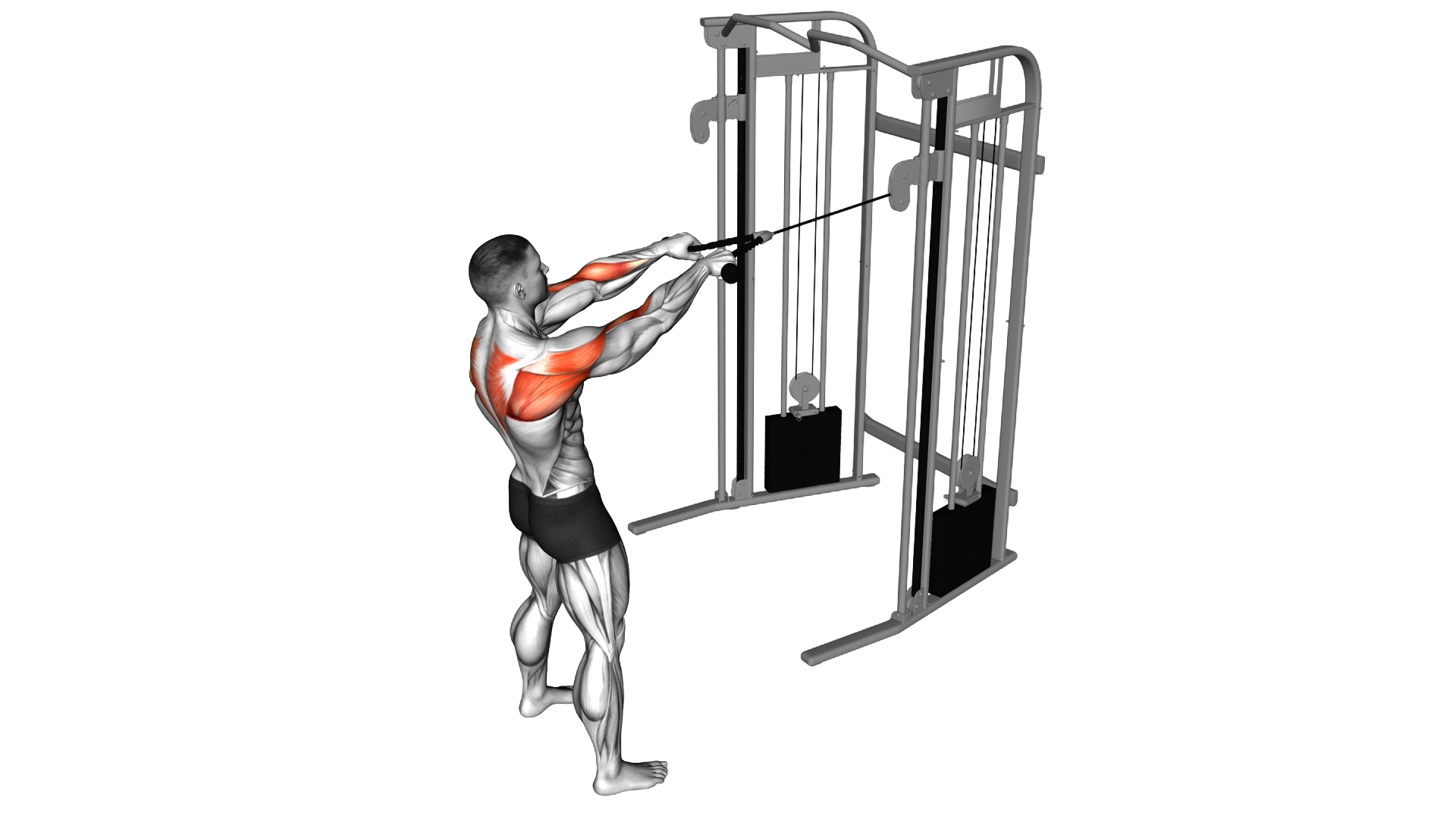 Cable Standing Face Pull (with rope) exercise demonstration