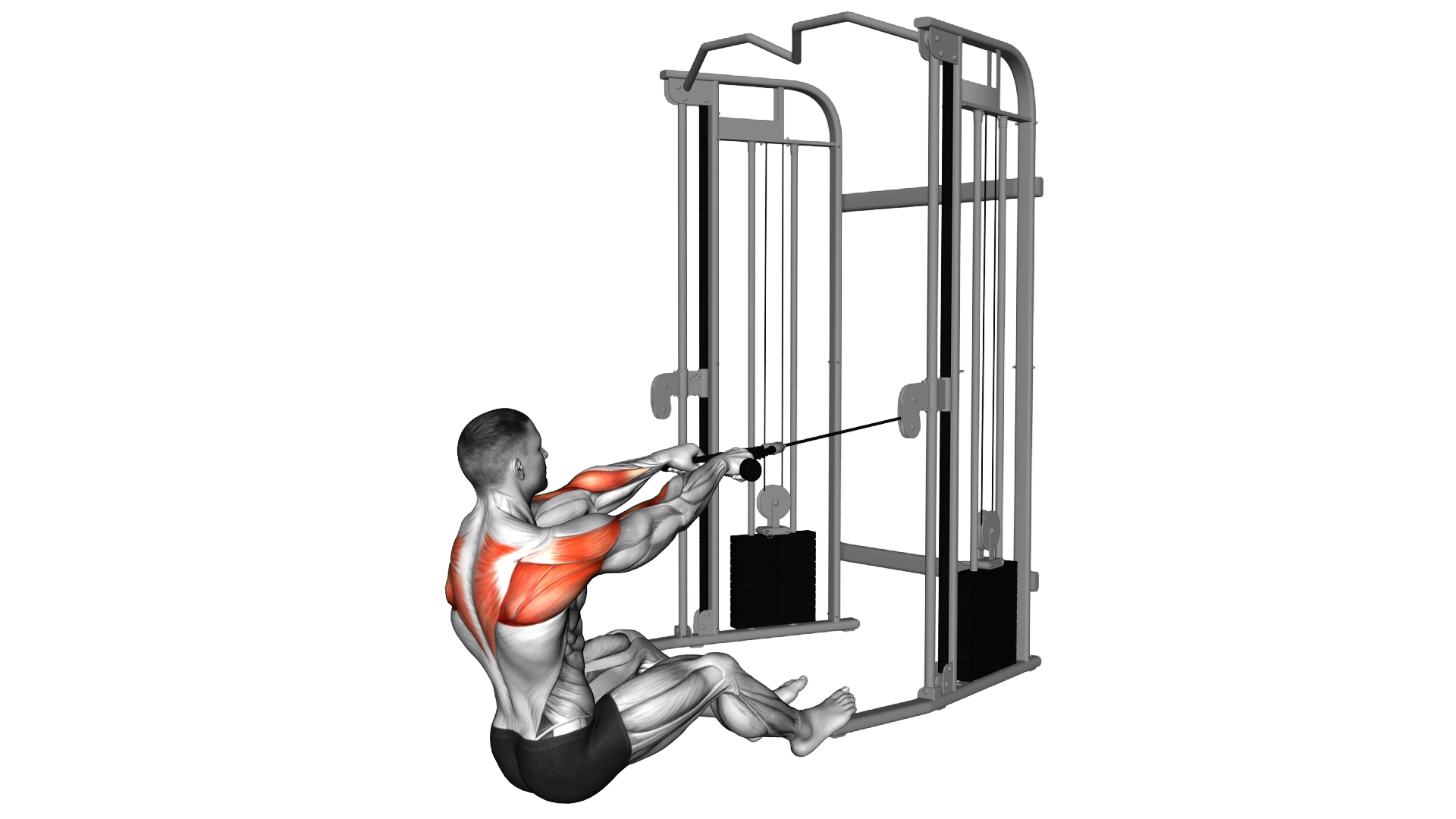Cable Seated Face Pull (with rope) exercise thumbnail