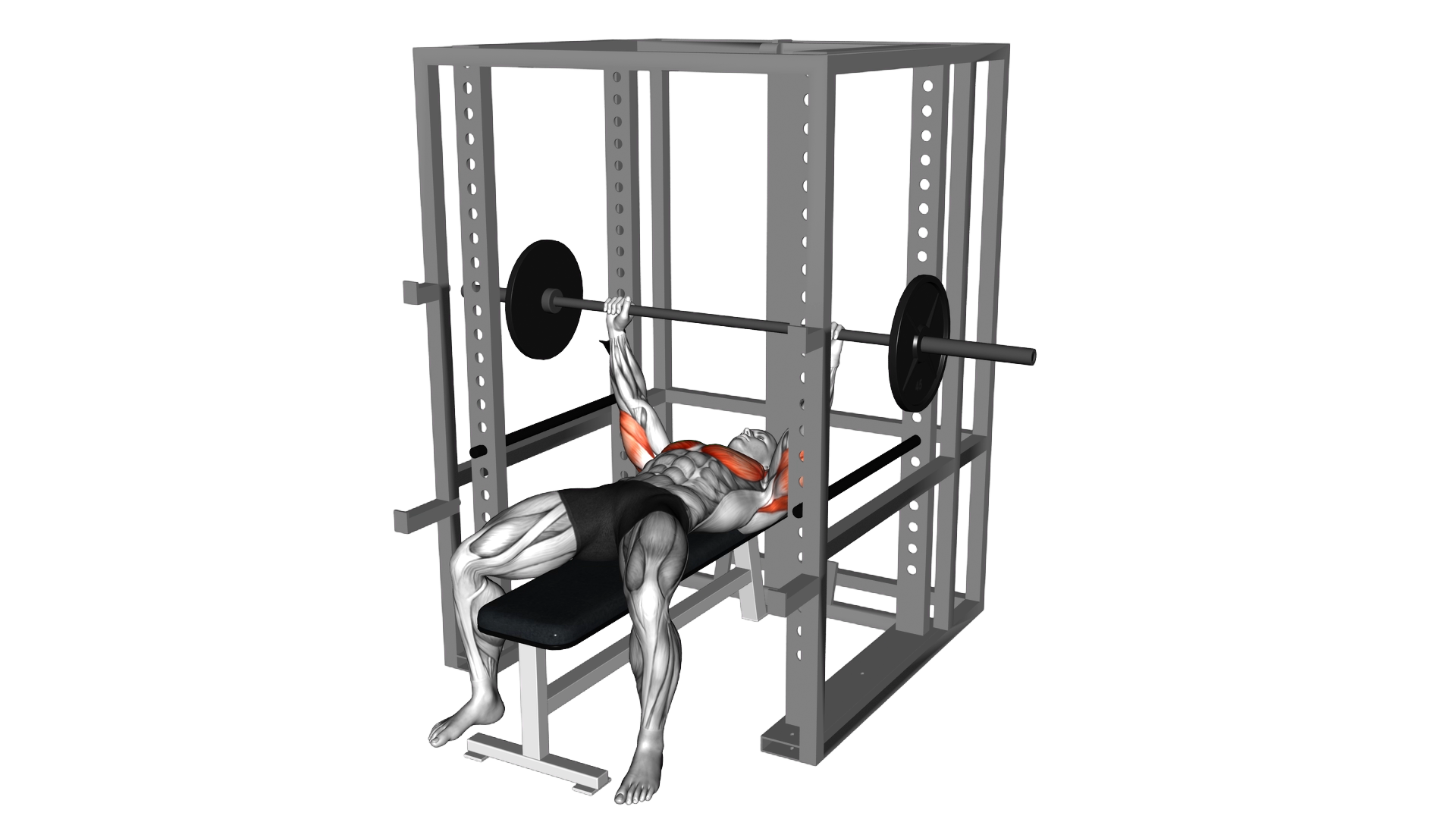 Barbell Pin Chest Press exercise demonstration