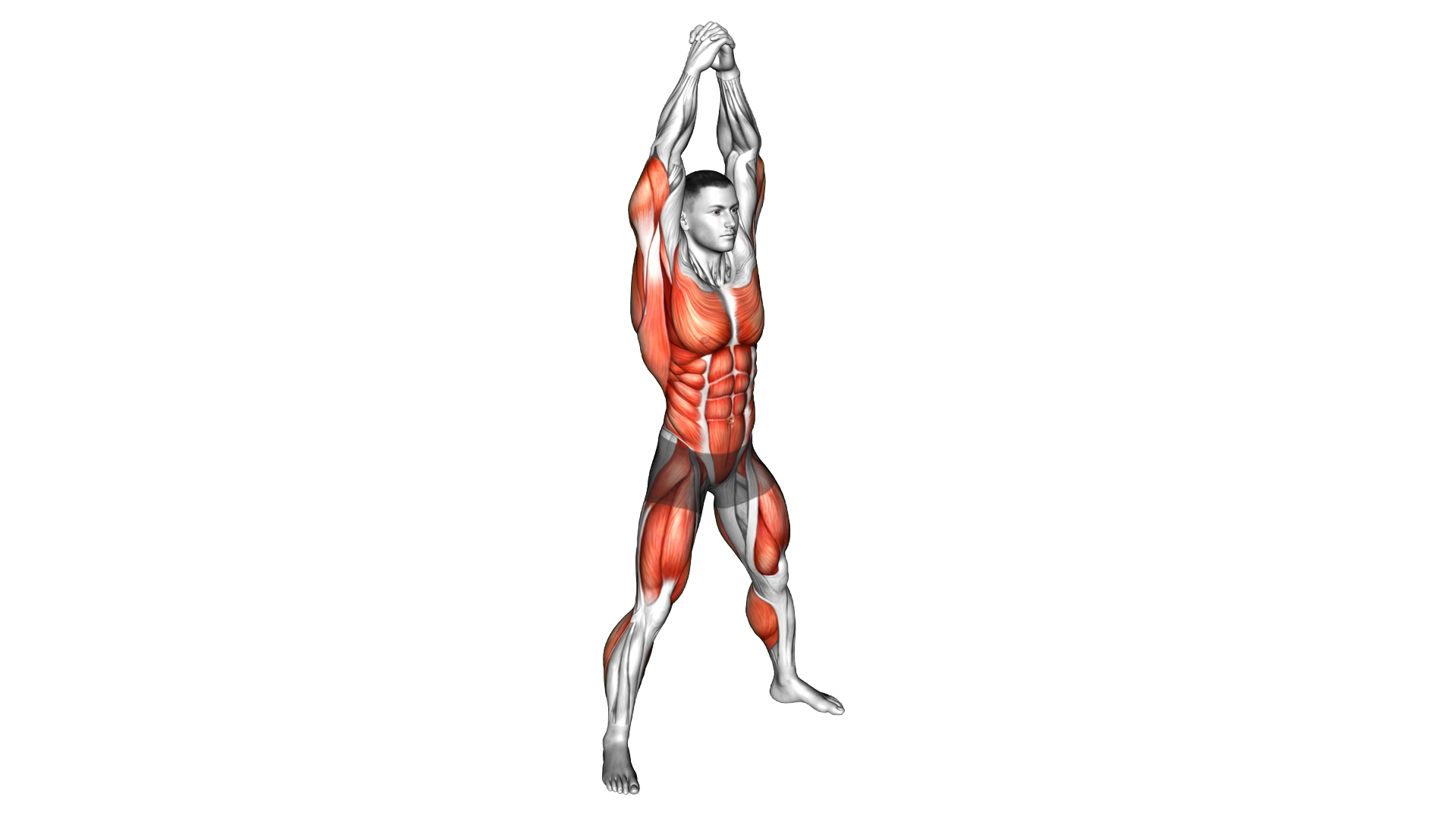 Bodyweight Front Slam exercise demonstration