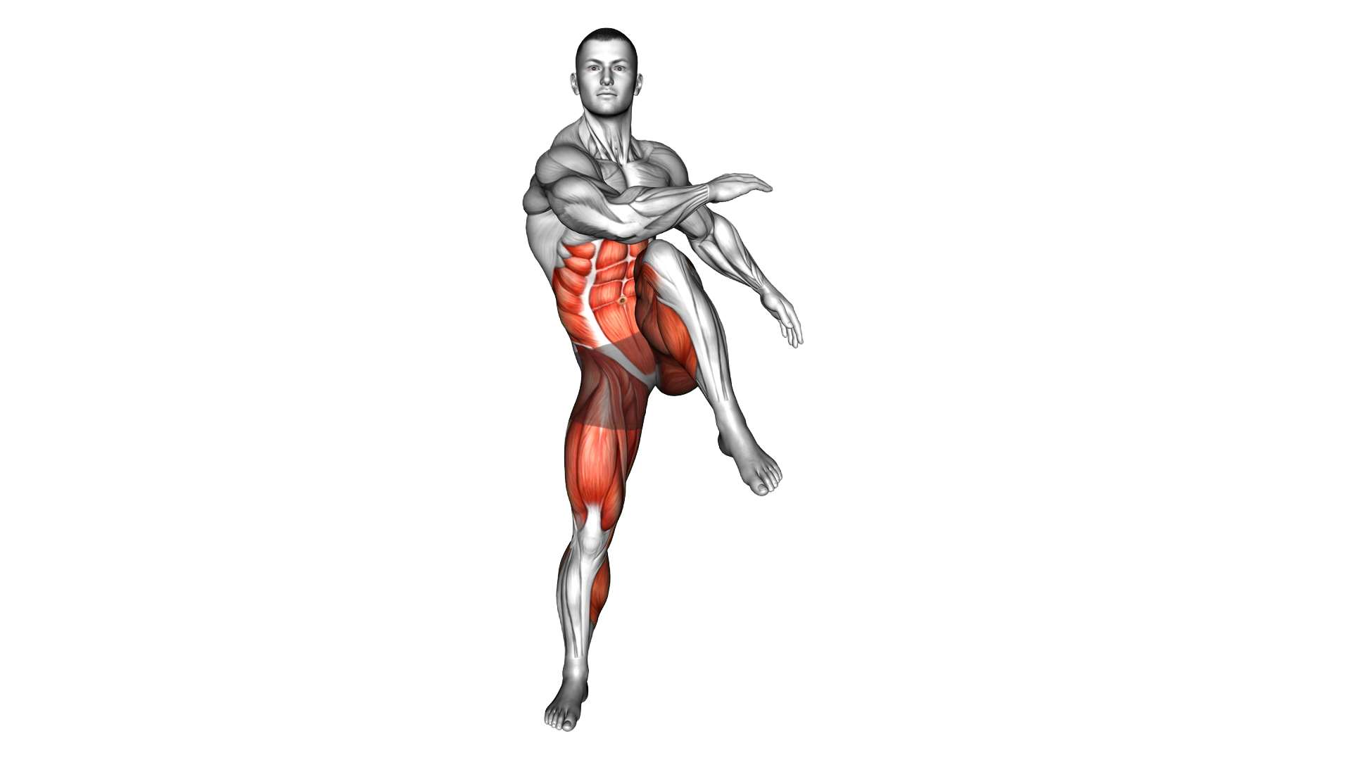 Squat and Knee exercise demonstration