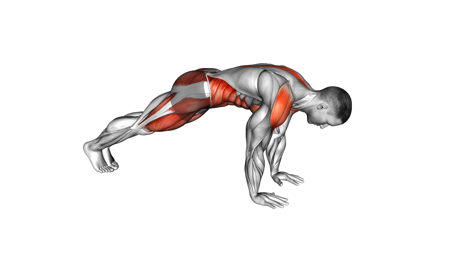 Side Mountain Climber exercise demonstration