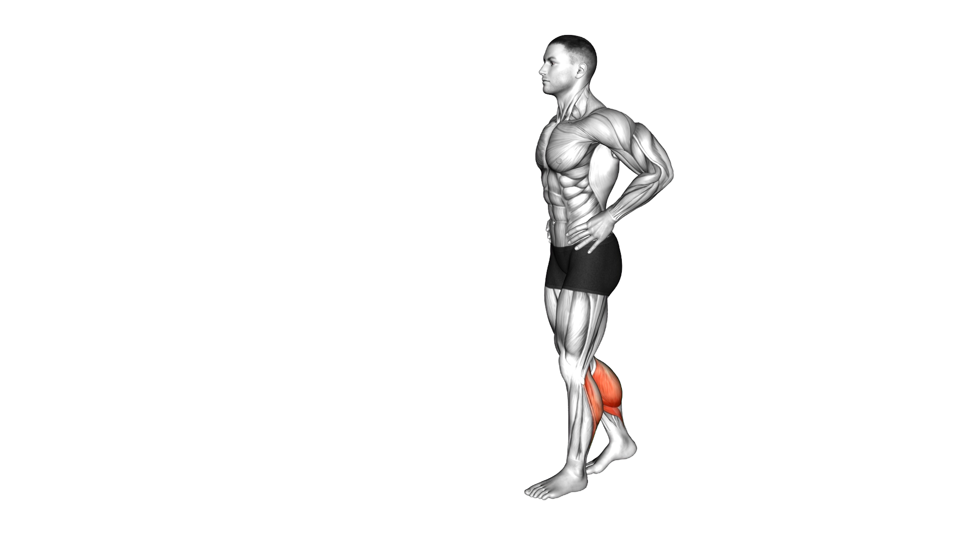 Bodyweight Walking Calf Raise exercise demonstration