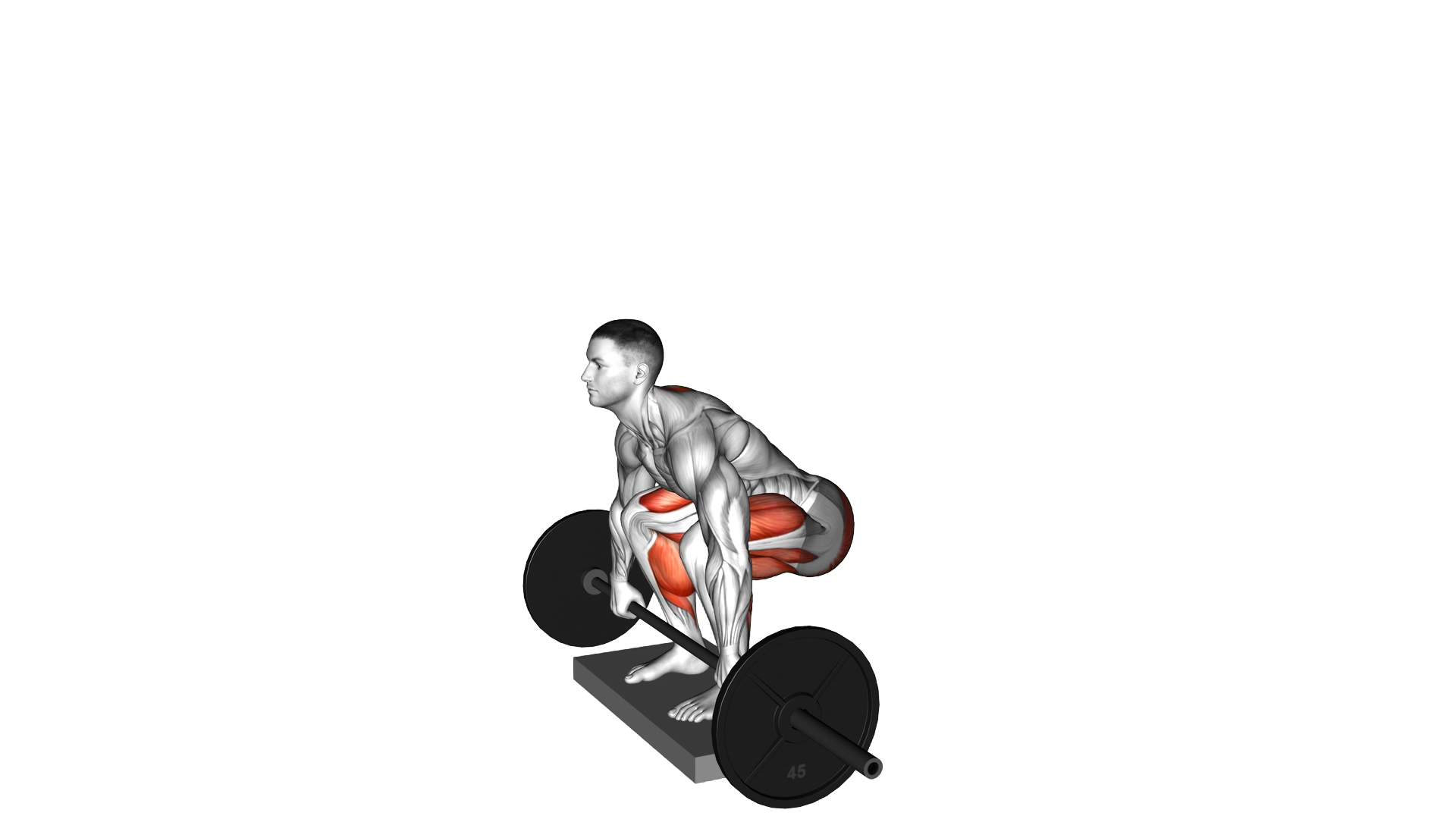 Barbell Deadlift from Deficit exercise demonstration