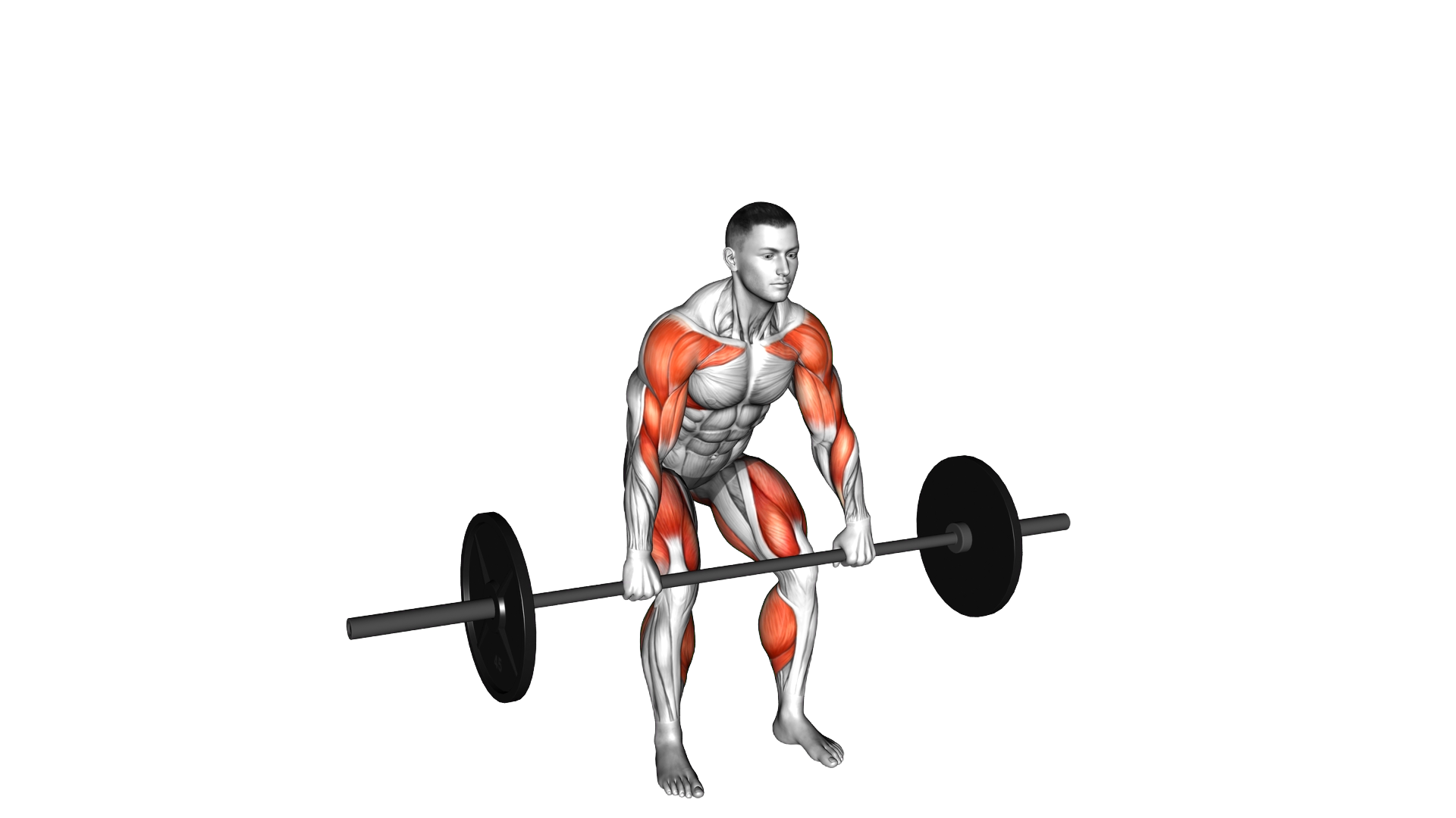 Barbell Hang Power Clean exercise demonstration