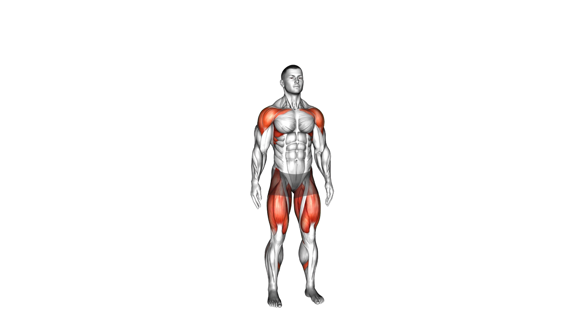 Step Squat Jack exercise thumbnail