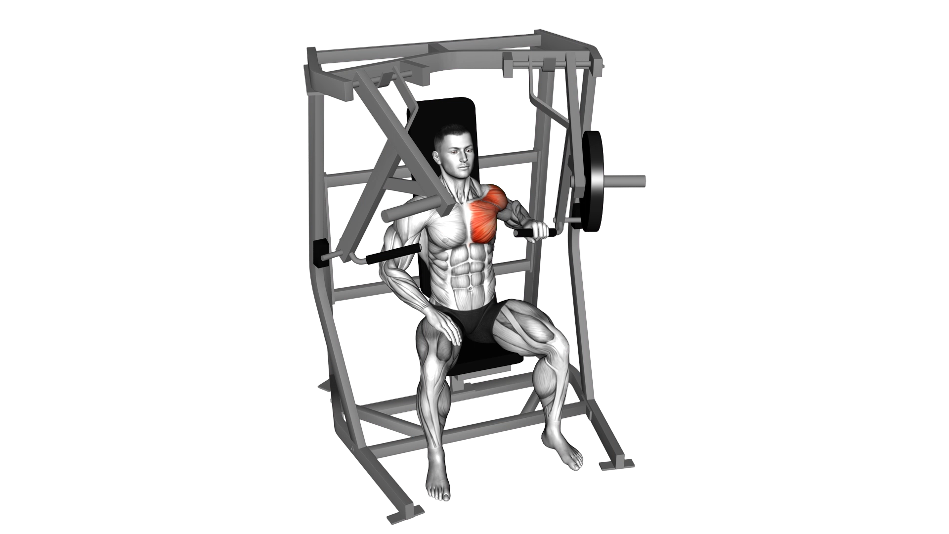 Lever Single Arm Chest Press (plate loaded) exercise demonstration