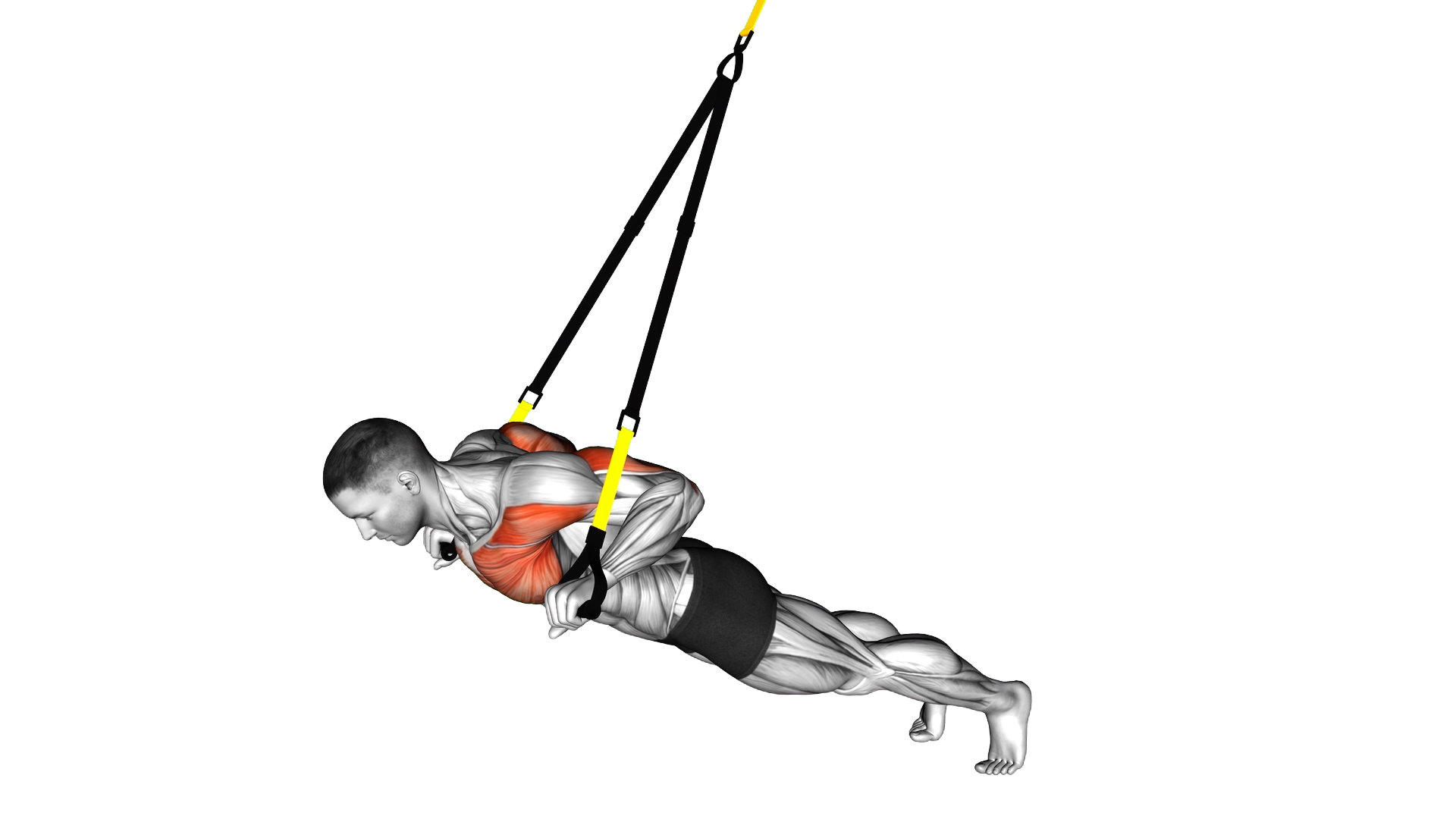 Suspension Chest Press exercise demonstration