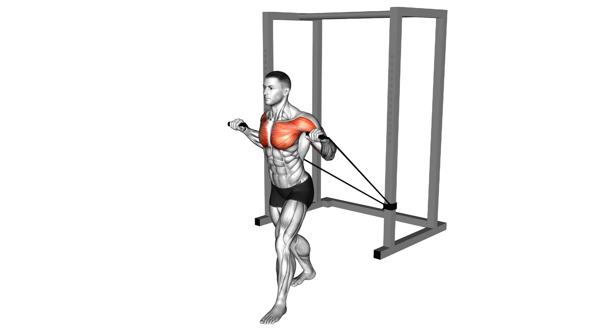 Band Incline Chest Press exercise demonstration