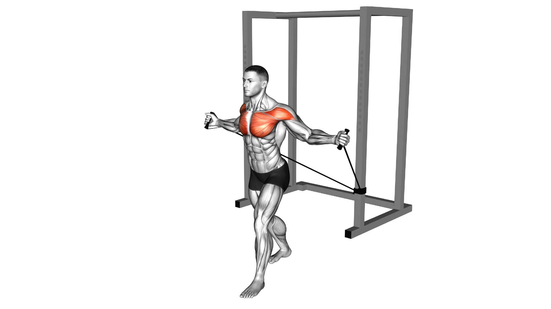 Band Incline Chest Fly exercise demonstration