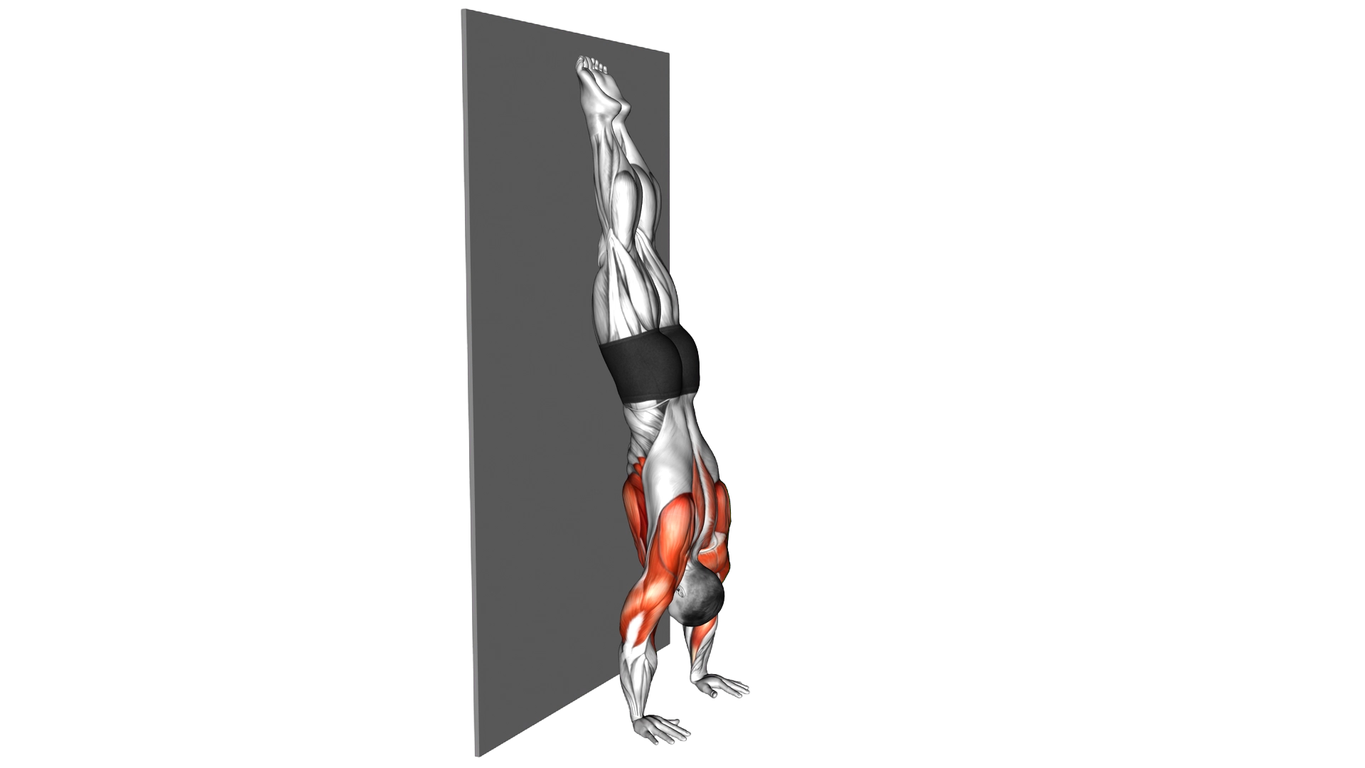 Handstand against the Wall exercise demonstration