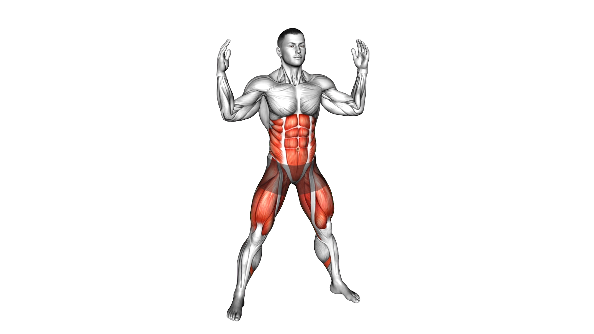 Squat Press Down Twist exercise demonstration