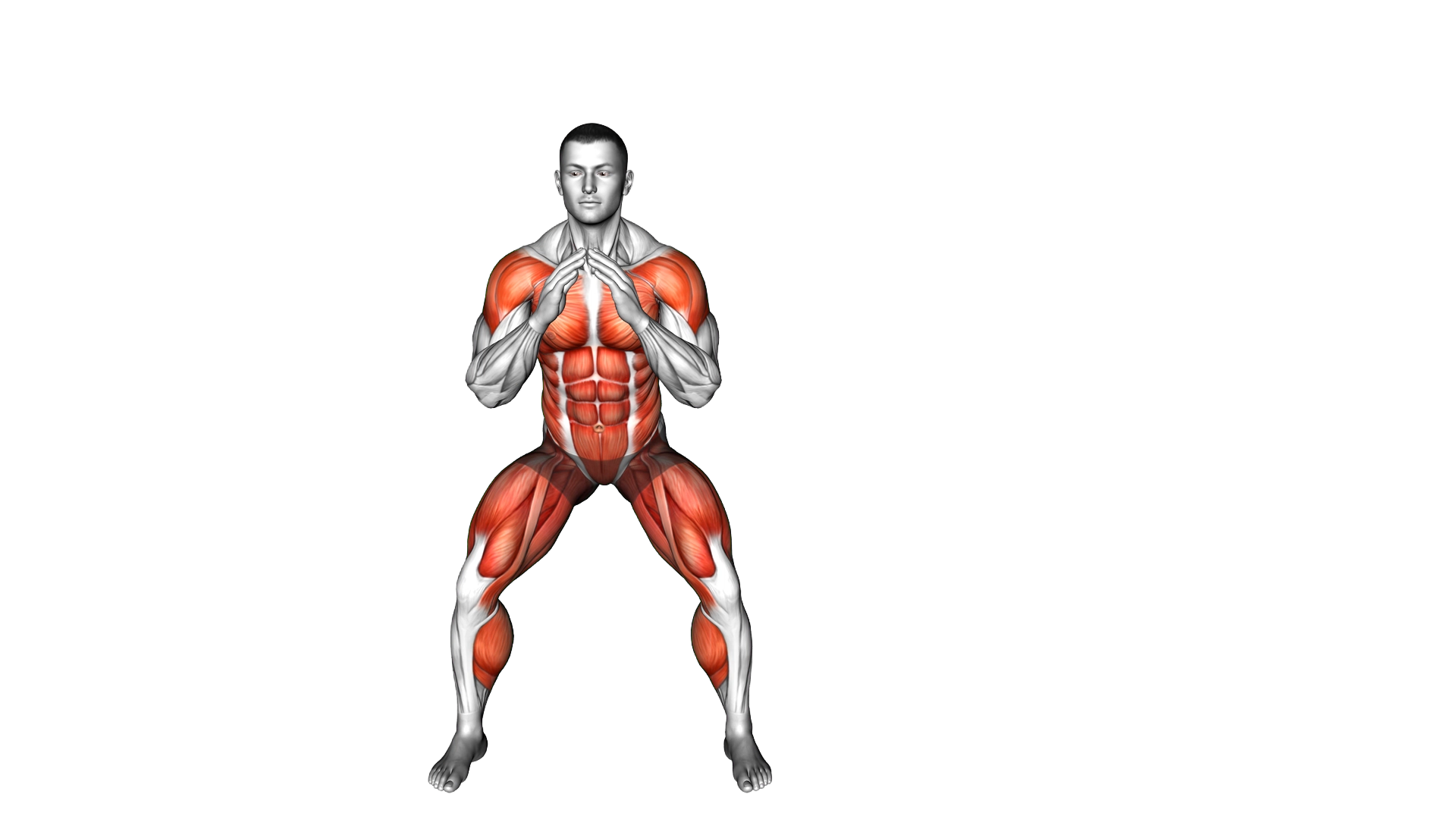 Pendulum Leg Plus exercise demonstration
