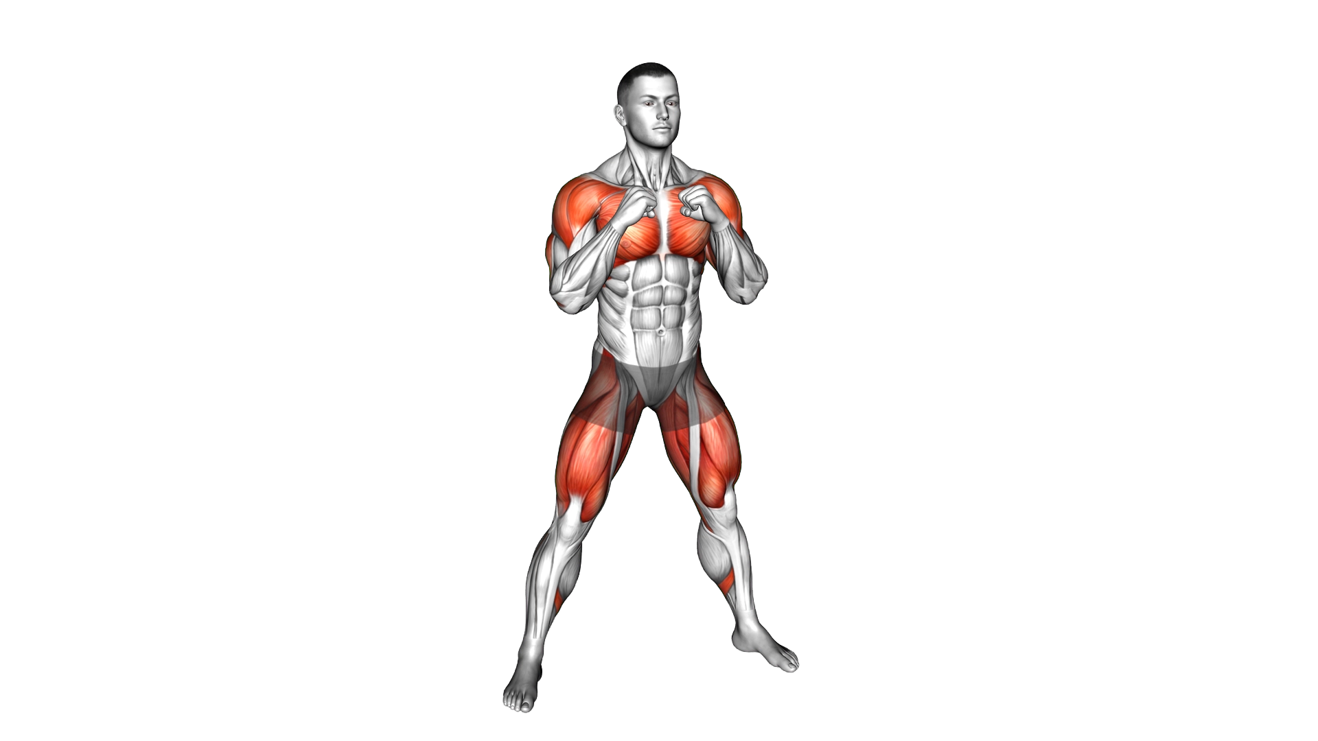 Top Bottom Punch Squat exercise demonstration