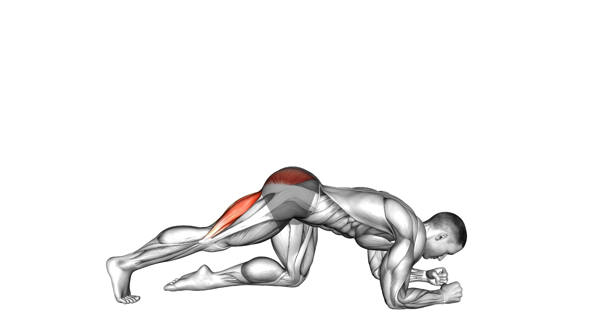 Kicks Leg Bent exercise demonstration