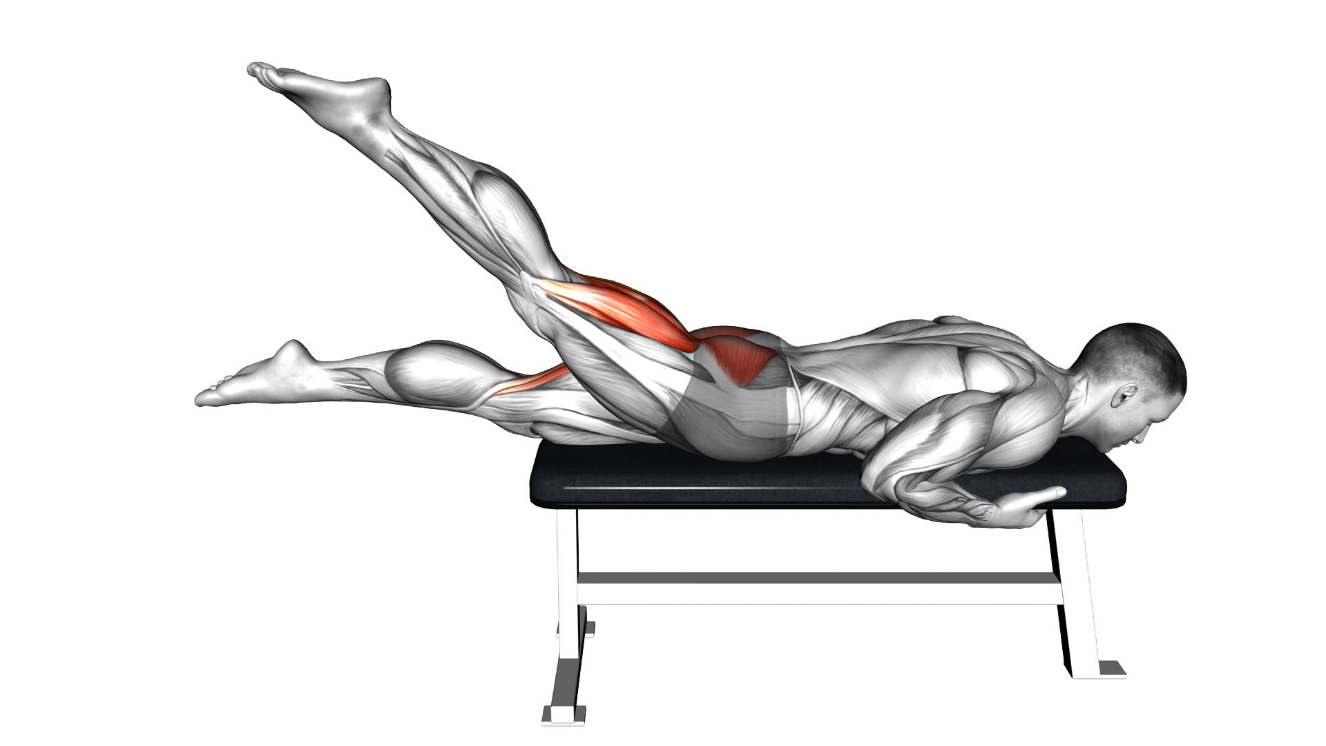 Lying Alternate Hip Extension exercise demonstration