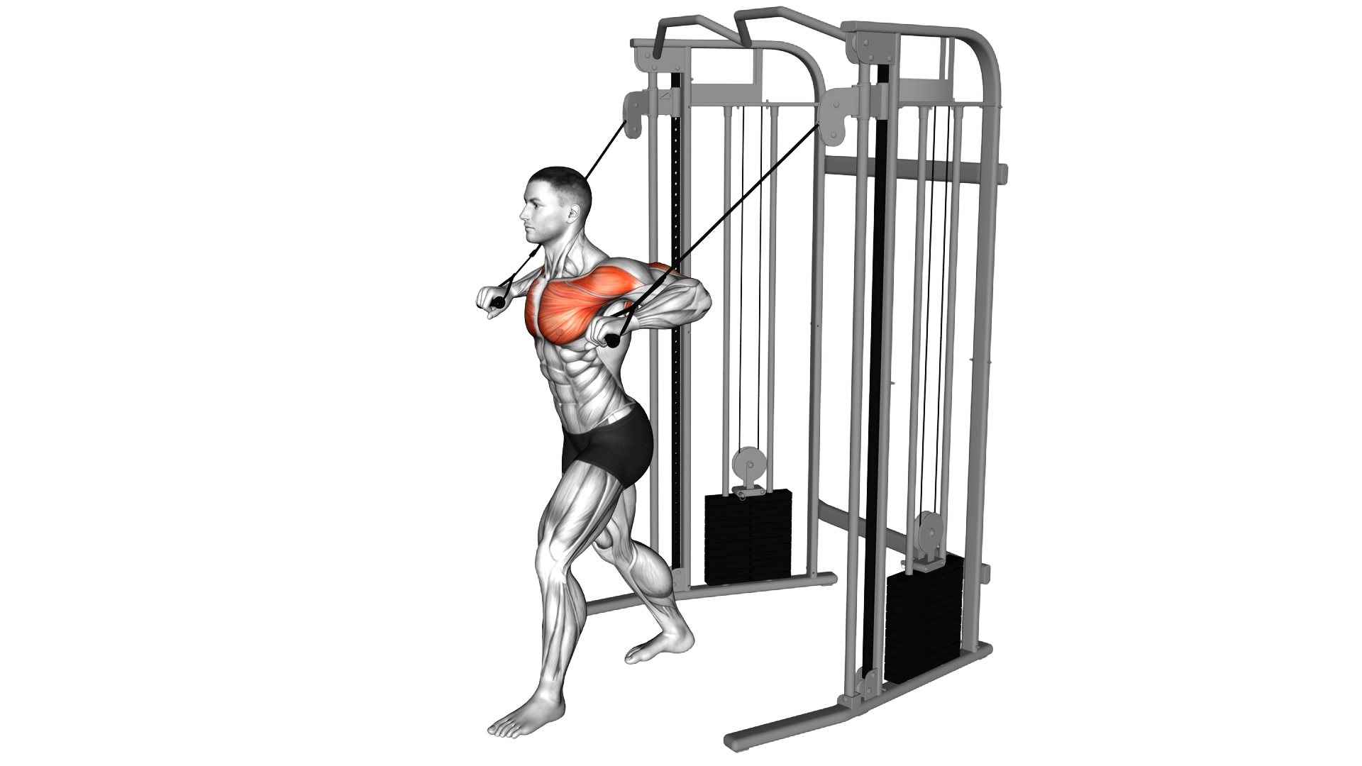 Cable Low Chest Press exercise demonstration