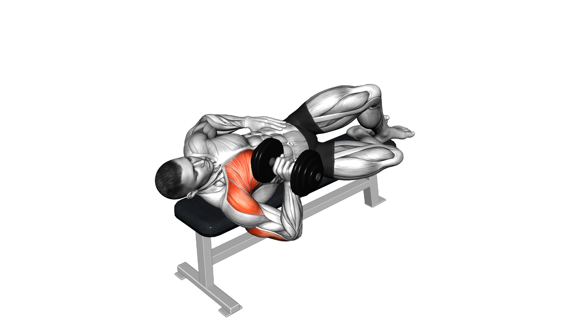 Dumbell One Arm Side Lying Bench Press exercise demonstration